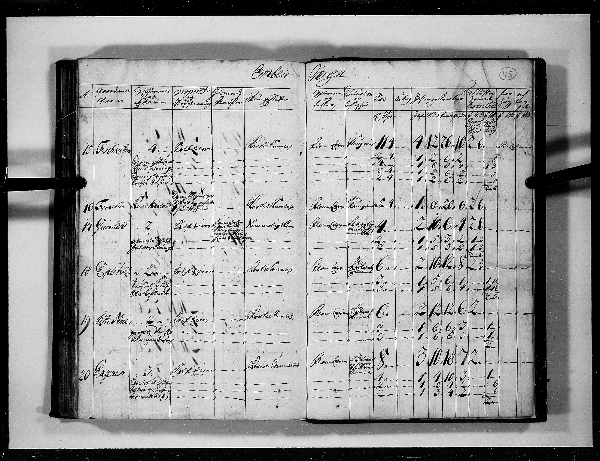 Rentekammeret inntil 1814, Realistisk ordnet avdeling, AV/RA-EA-4070/N/Nb/Nbf/L0125: Råbyggelag eksaminasjonsprotokoll, 1723, p. 114b-115a