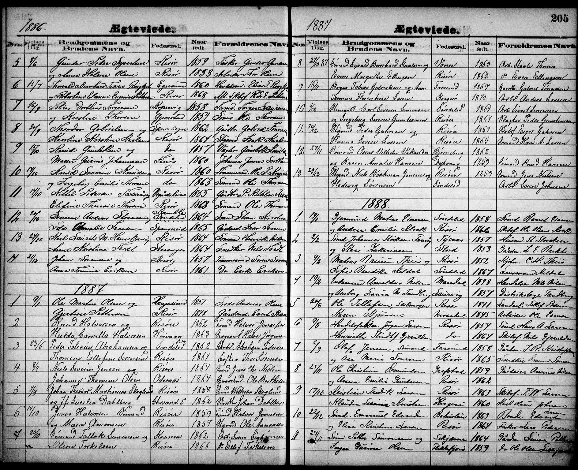 Risør sokneprestkontor, SAK/1111-0035/F/Fb/L0007: Parish register (copy) no. B 7, 1885-1908, p. 205