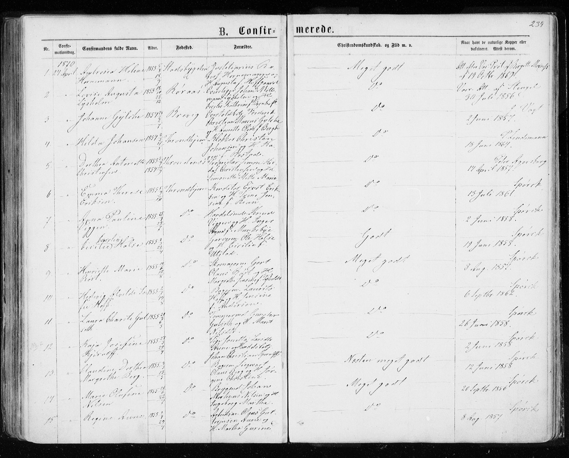 Ministerialprotokoller, klokkerbøker og fødselsregistre - Sør-Trøndelag, AV/SAT-A-1456/601/L0054: Parish register (official) no. 601A22, 1866-1877, p. 239