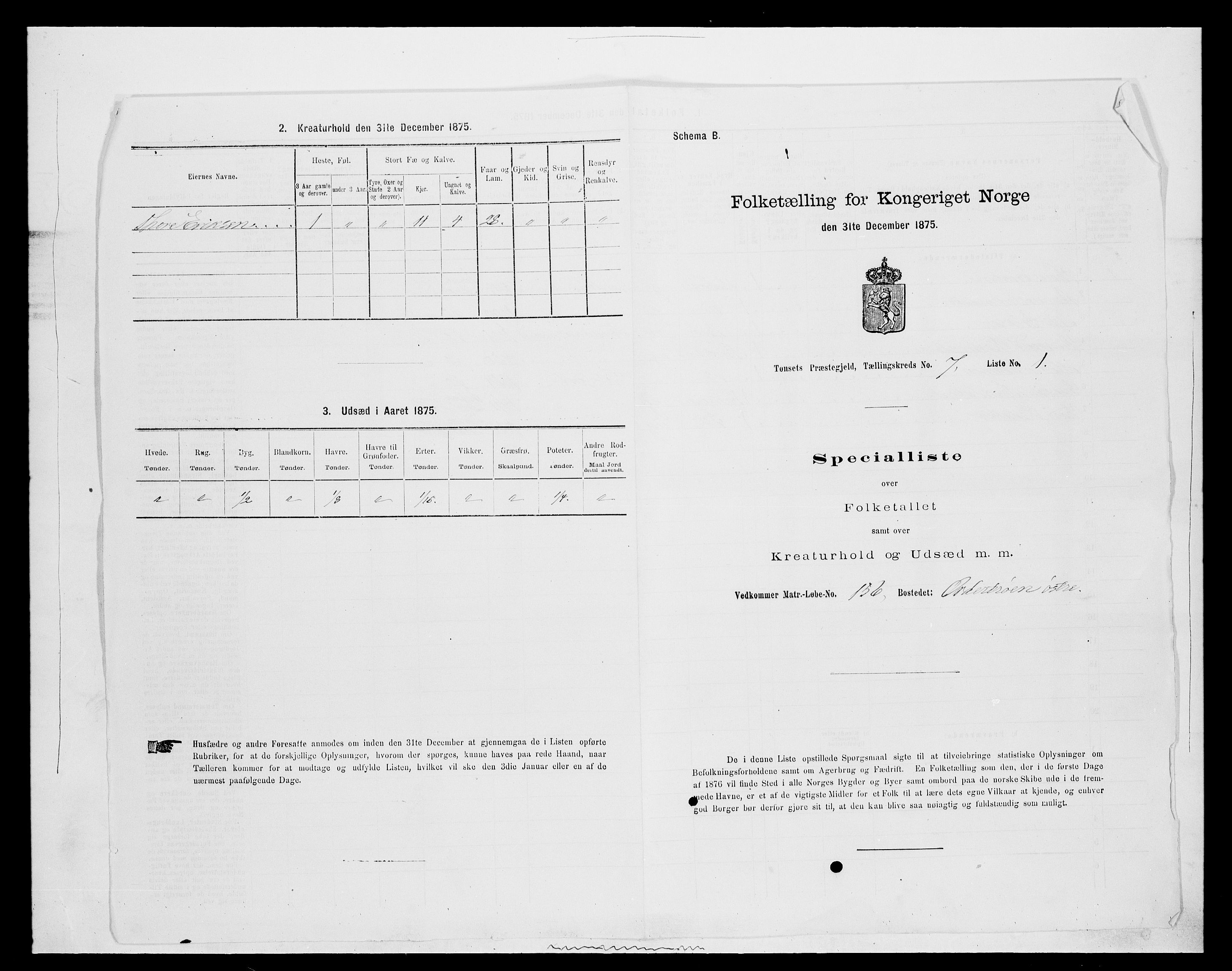 SAH, 1875 census for 0437P Tynset, 1875, p. 725