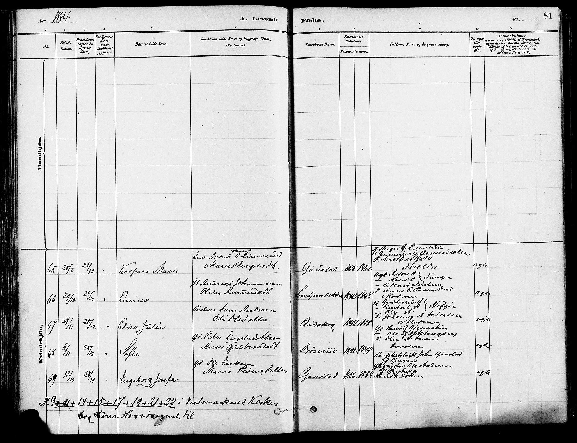 Eidskog prestekontor, SAH/PREST-026/H/Ha/Haa/L0003: Parish register (official) no. 3, 1879-1892, p. 81
