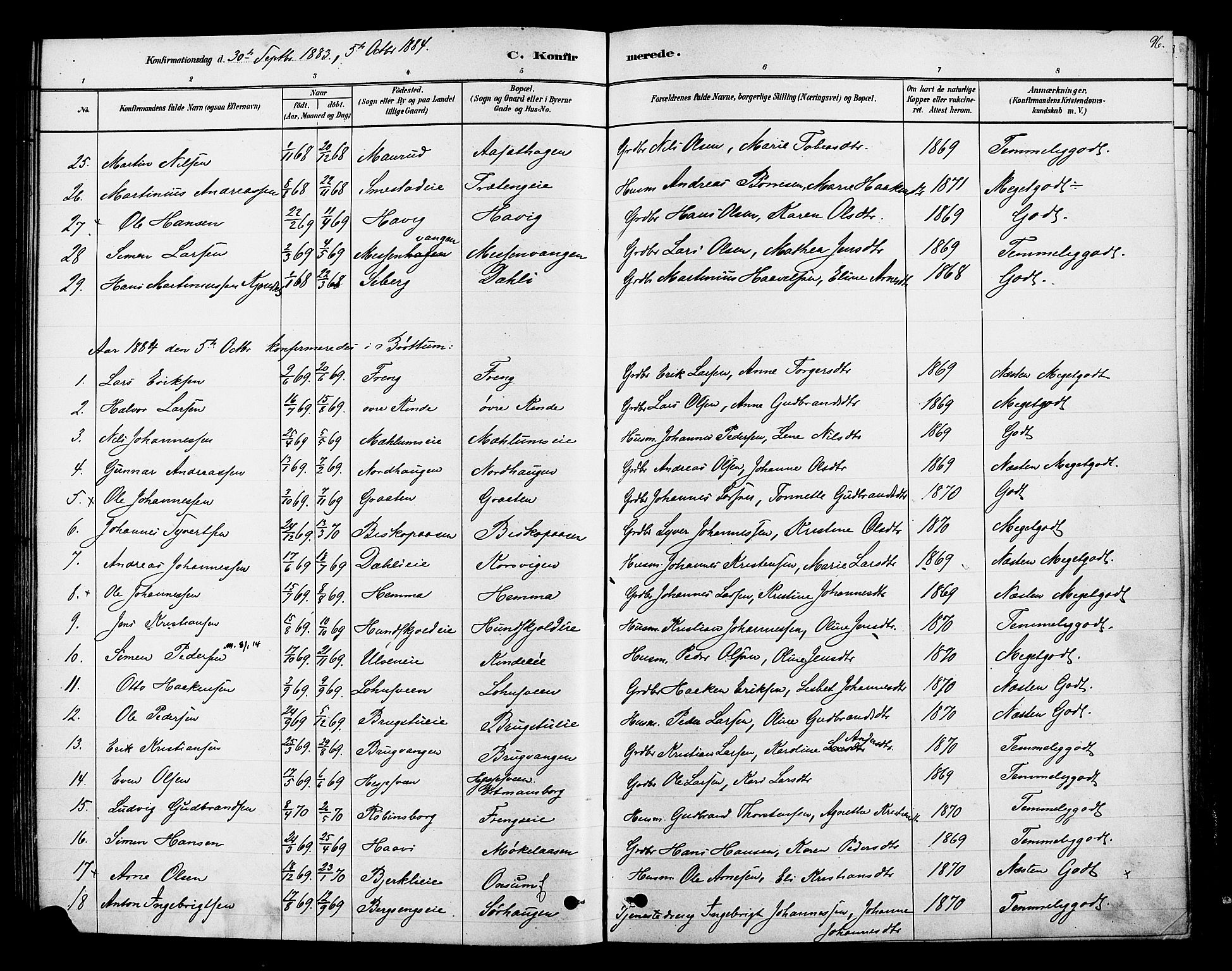 Ringsaker prestekontor, AV/SAH-PREST-014/K/Ka/L0013: Parish register (official) no. 13, 1879-1890, p. 96