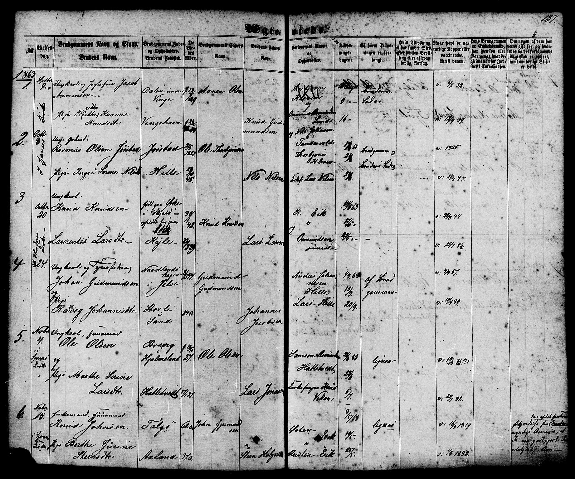 Nedstrand sokneprestkontor, SAST/A-101841/01/IV: Parish register (official) no. A 10, 1861-1887, p. 137