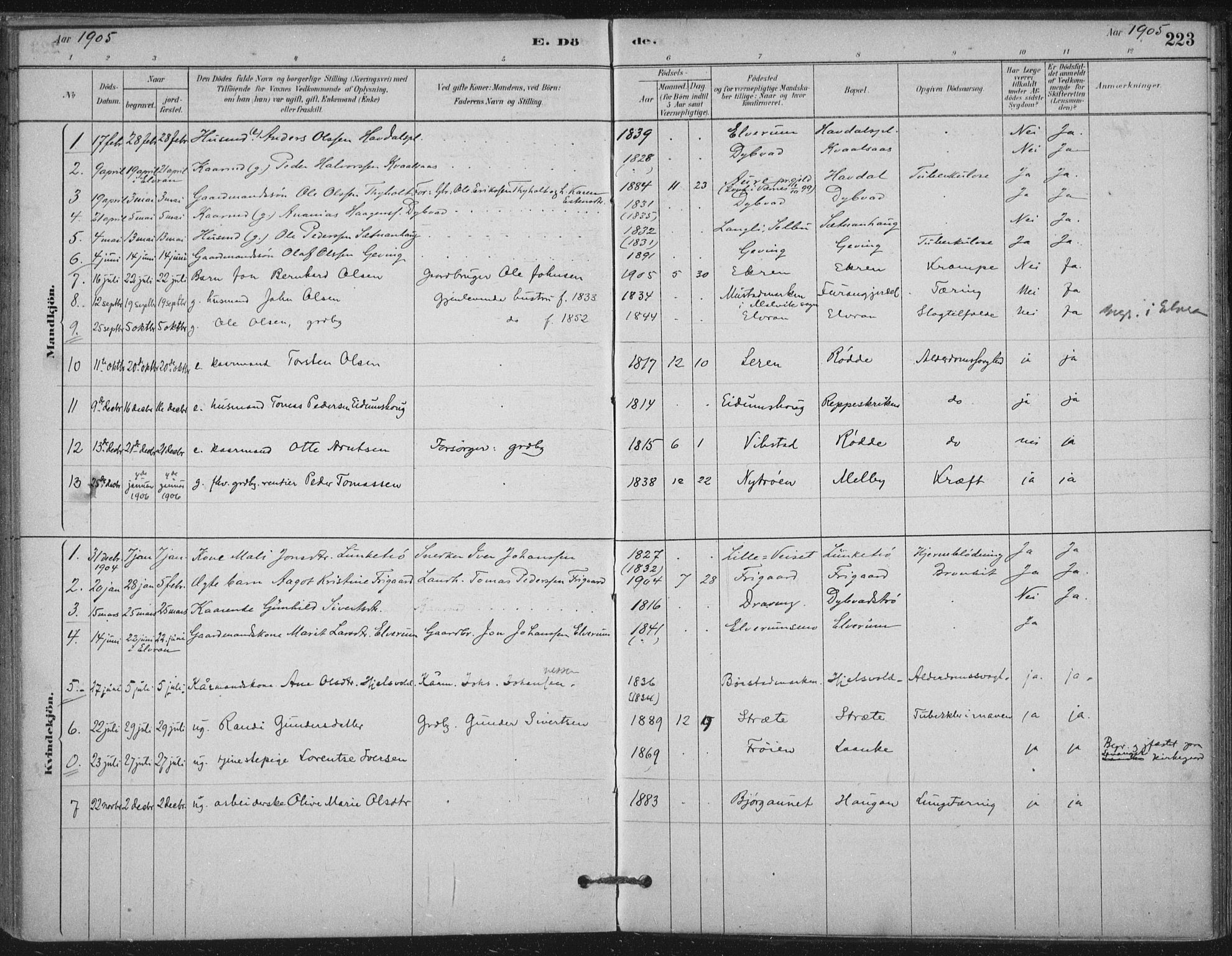 Ministerialprotokoller, klokkerbøker og fødselsregistre - Nord-Trøndelag, SAT/A-1458/710/L0095: Parish register (official) no. 710A01, 1880-1914, p. 223