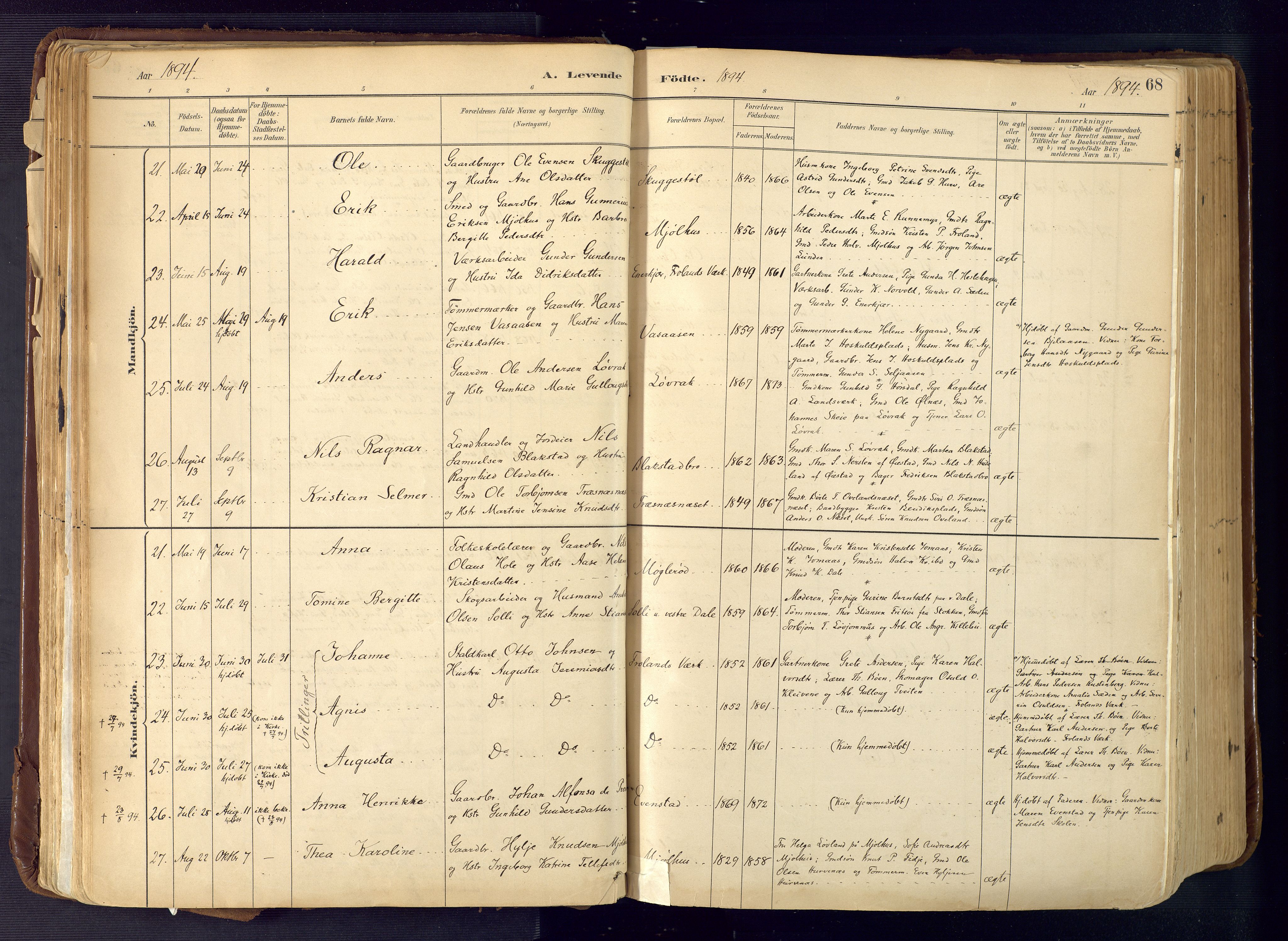 Froland sokneprestkontor, AV/SAK-1111-0013/F/Fa/L0005: Parish register (official) no. A 5, 1882-1921, p. 68