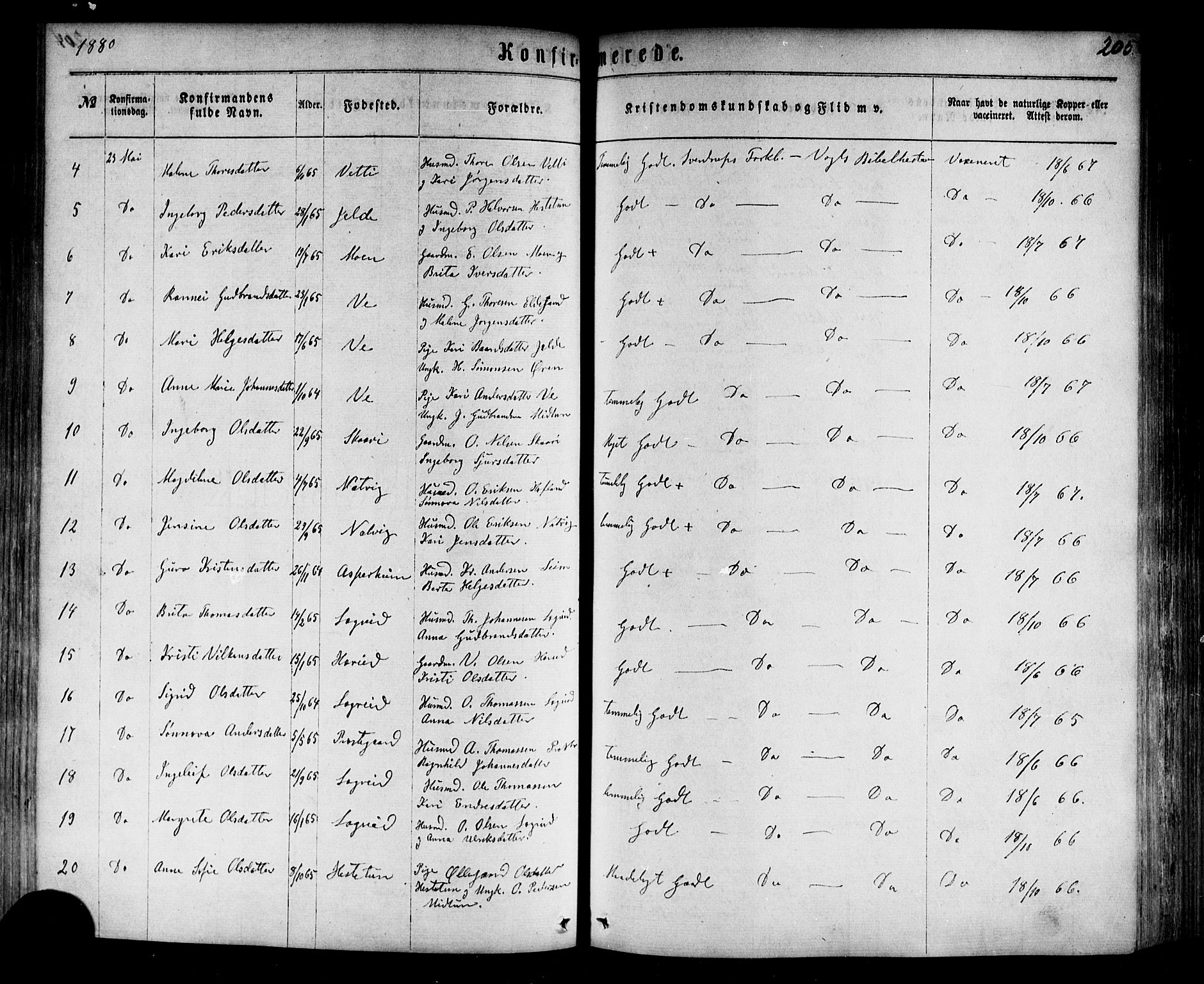 Årdal sokneprestembete, AV/SAB-A-81701: Parish register (official) no. A 3, 1863-1886, p. 205