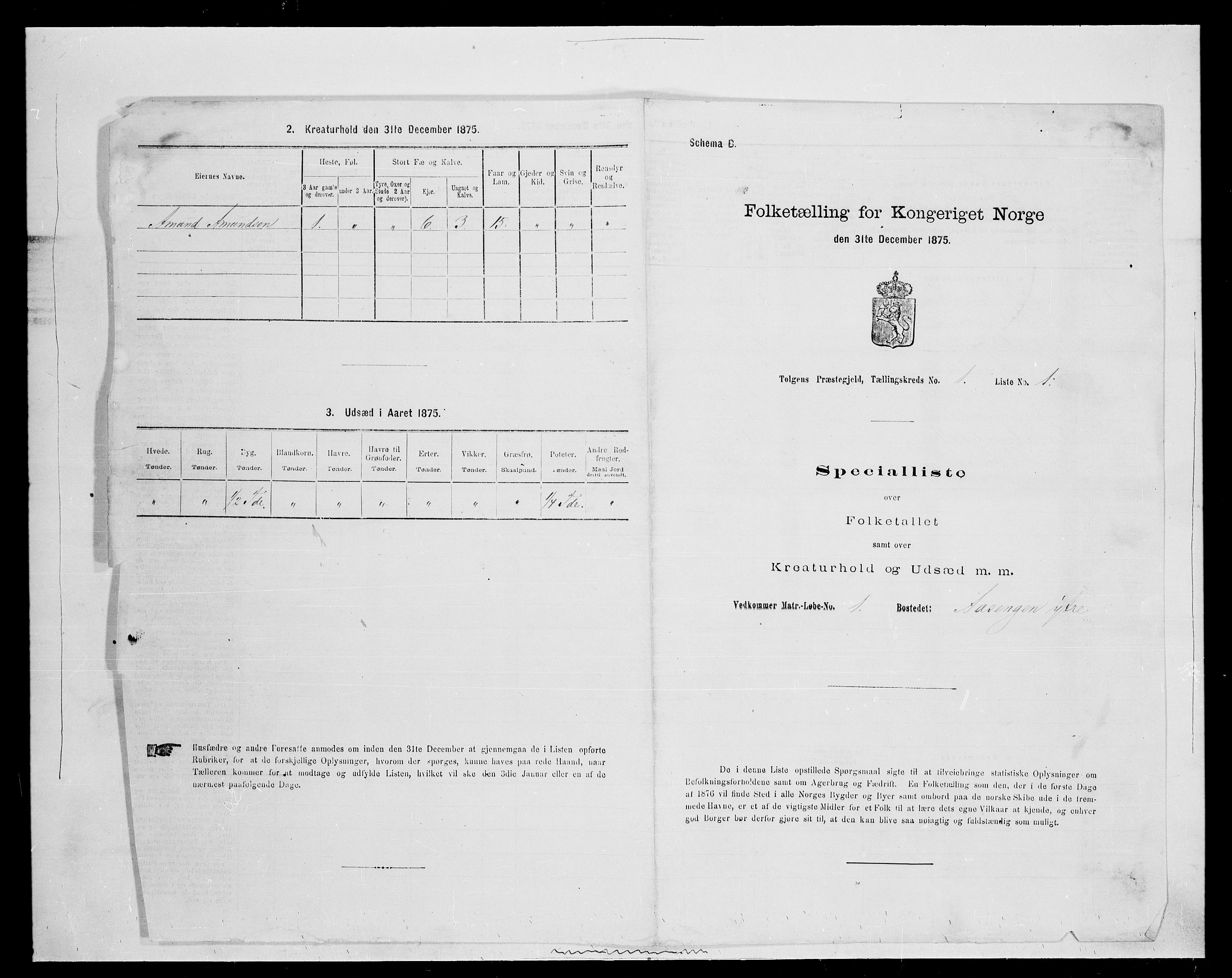 SAH, 1875 census for 0436P Tolga, 1875, p. 210