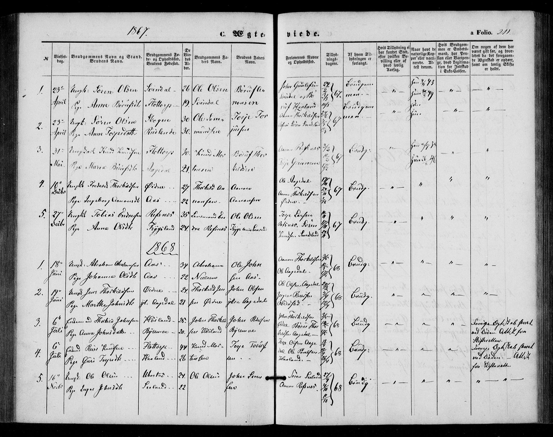 Bjelland sokneprestkontor, SAK/1111-0005/F/Fa/Fac/L0002: Parish register (official) no. A 2, 1866-1887, p. 211