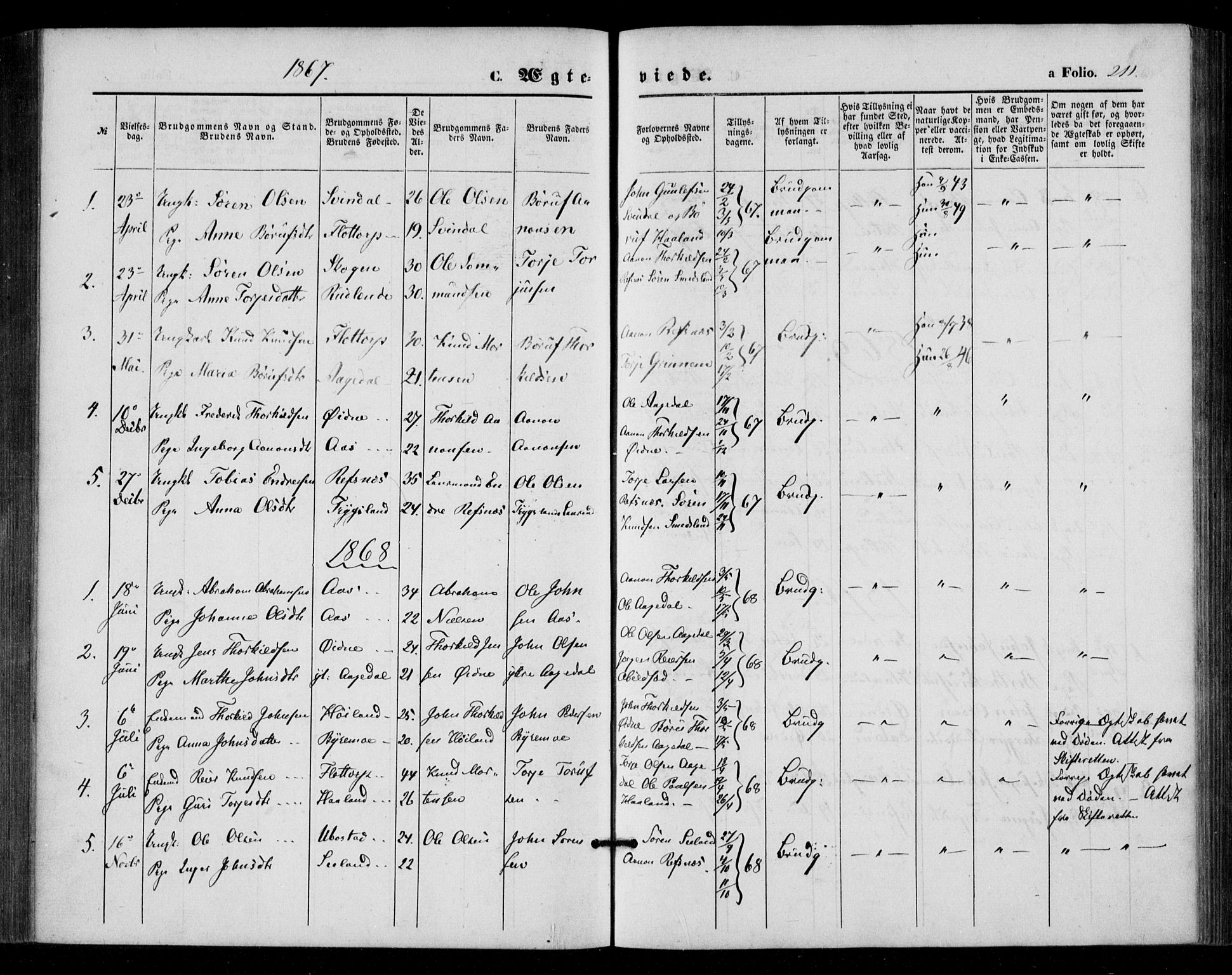 Bjelland sokneprestkontor, AV/SAK-1111-0005/F/Fa/Fac/L0002: Parish register (official) no. A 2, 1866-1887, p. 211