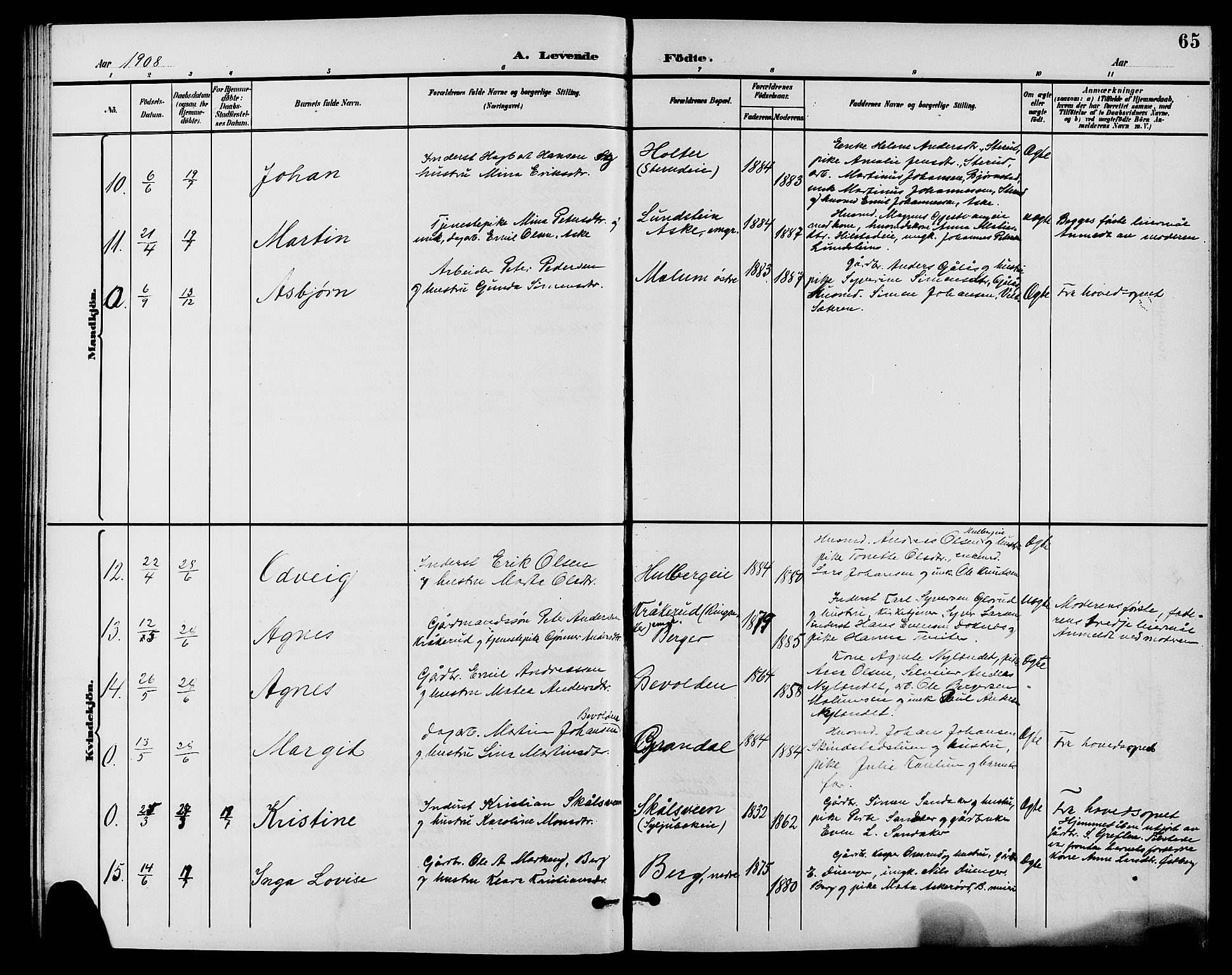 Nes prestekontor, Hedmark, AV/SAH-PREST-020/L/La/L0007: Parish register (copy) no. 7, 1892-1912, p. 65