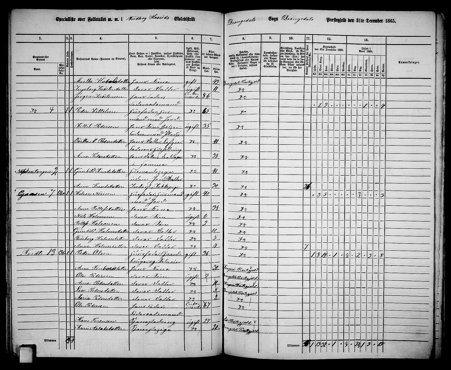 RA, 1865 census for Drangedal, 1865, p. 76