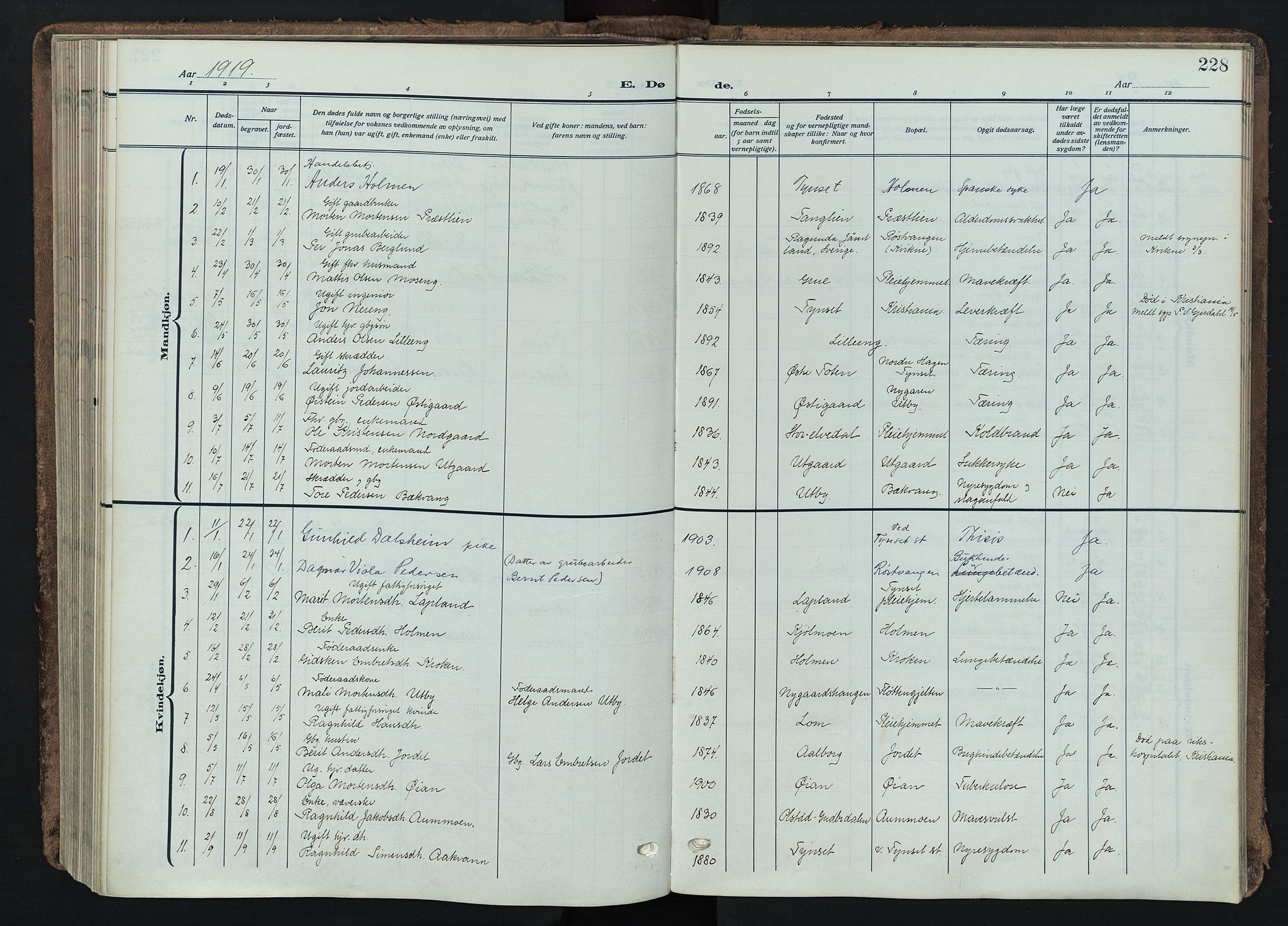 Tynset prestekontor, AV/SAH-PREST-058/H/Ha/Haa/L0026: Parish register (official) no. 26, 1915-1929, p. 228