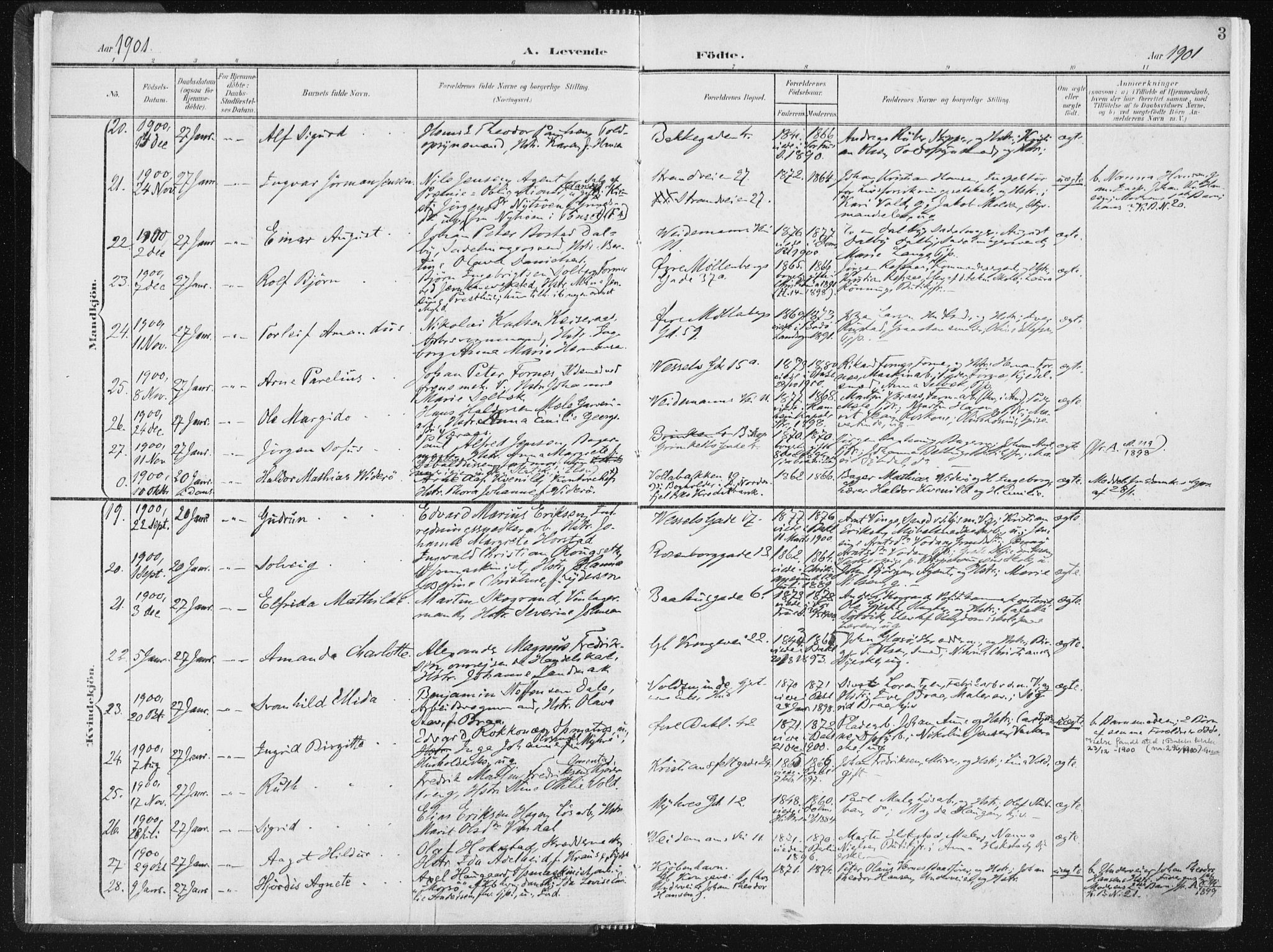 Ministerialprotokoller, klokkerbøker og fødselsregistre - Sør-Trøndelag, SAT/A-1456/604/L0199: Parish register (official) no. 604A20I, 1901-1906, p. 3