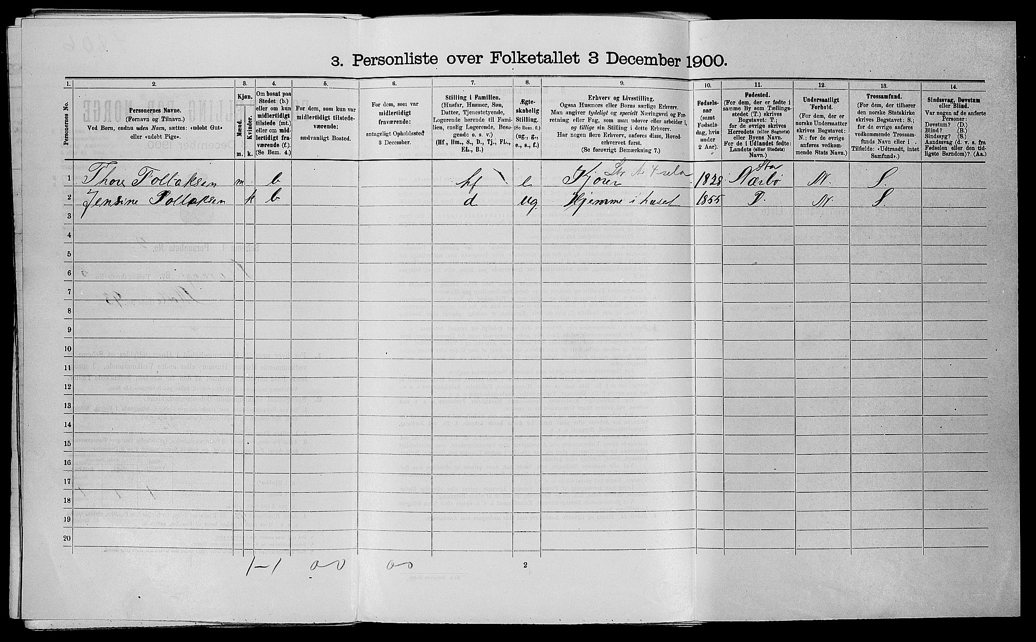 SAST, 1900 census for Stavanger, 1900, p. 1687