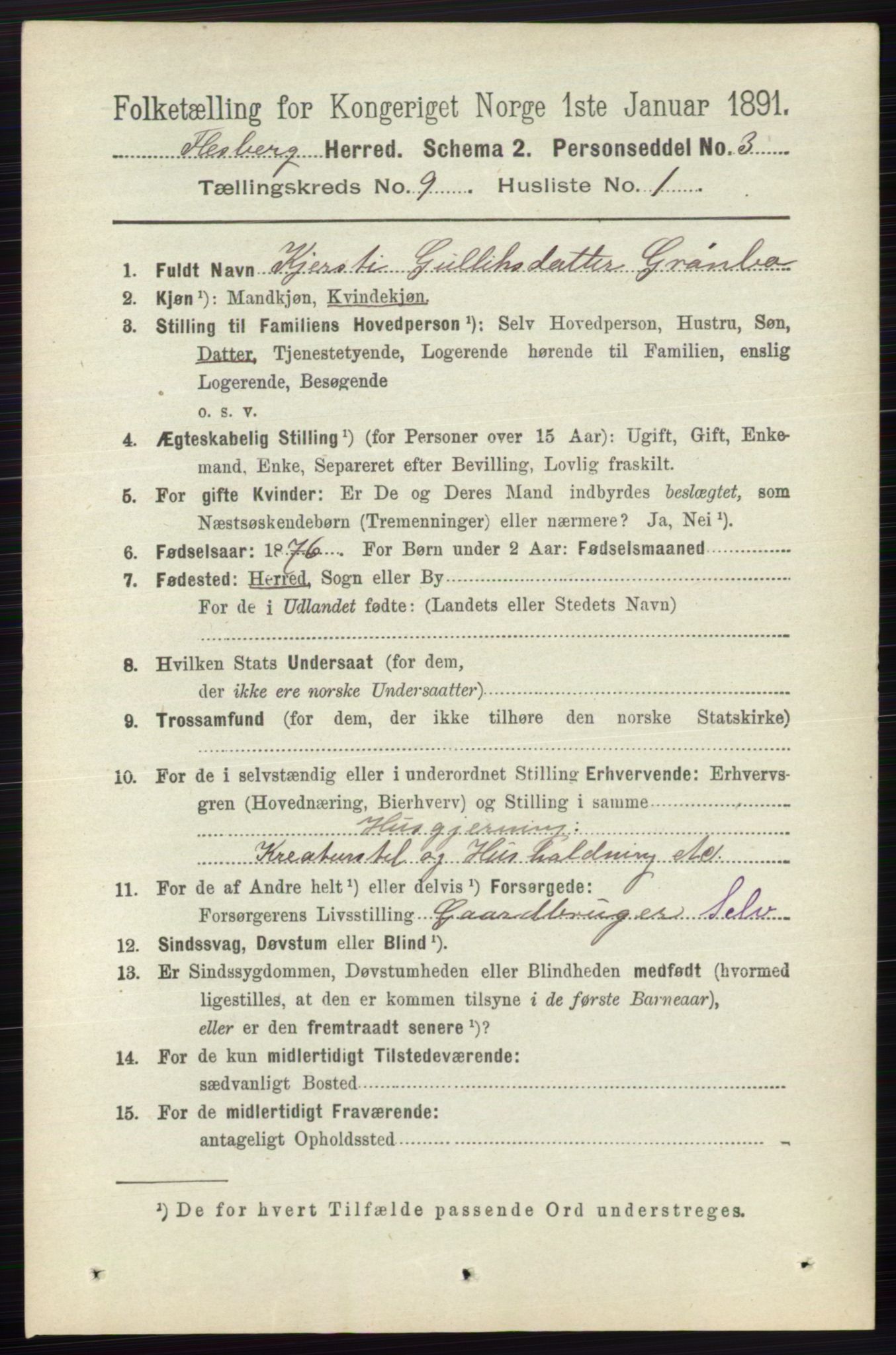 RA, 1891 census for 0631 Flesberg, 1891, p. 1528