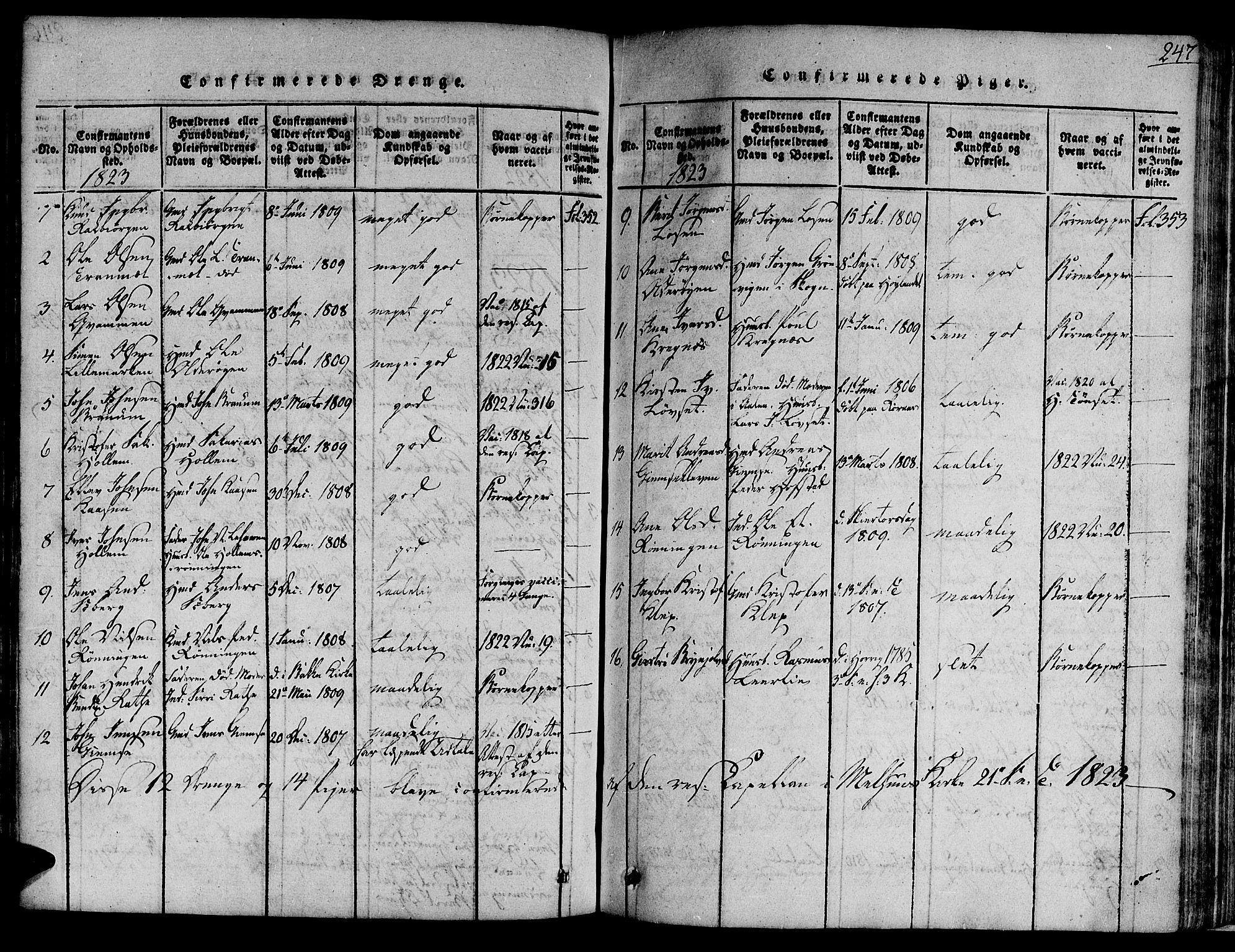 Ministerialprotokoller, klokkerbøker og fødselsregistre - Sør-Trøndelag, AV/SAT-A-1456/691/L1065: Parish register (official) no. 691A03 /1, 1816-1826, p. 247