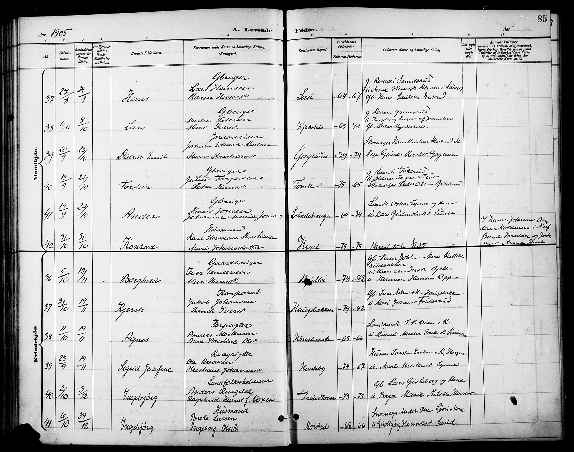 Gran prestekontor, AV/SAH-PREST-112/H/Ha/Haa/L0019: Parish register (official) no. 19, 1898-1907, p. 85