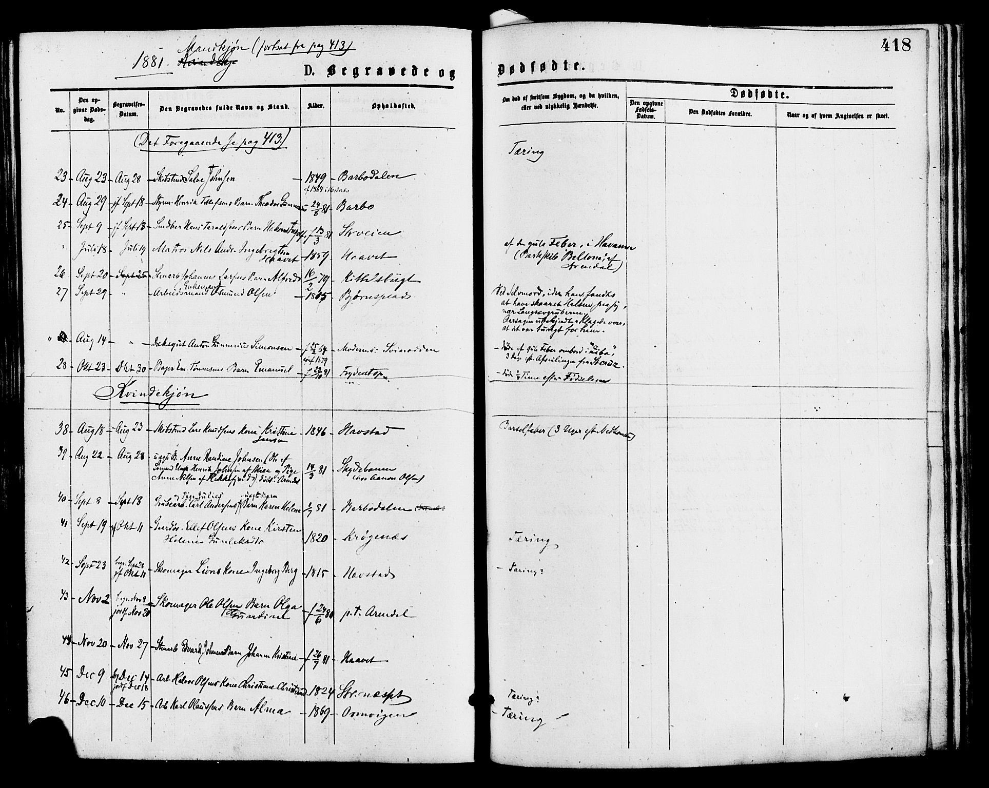 Barbu sokneprestkontor, AV/SAK-1111-0003/F/Fa/L0001: Parish register (official) no. A 1 /1, 1878-1883, p. 418