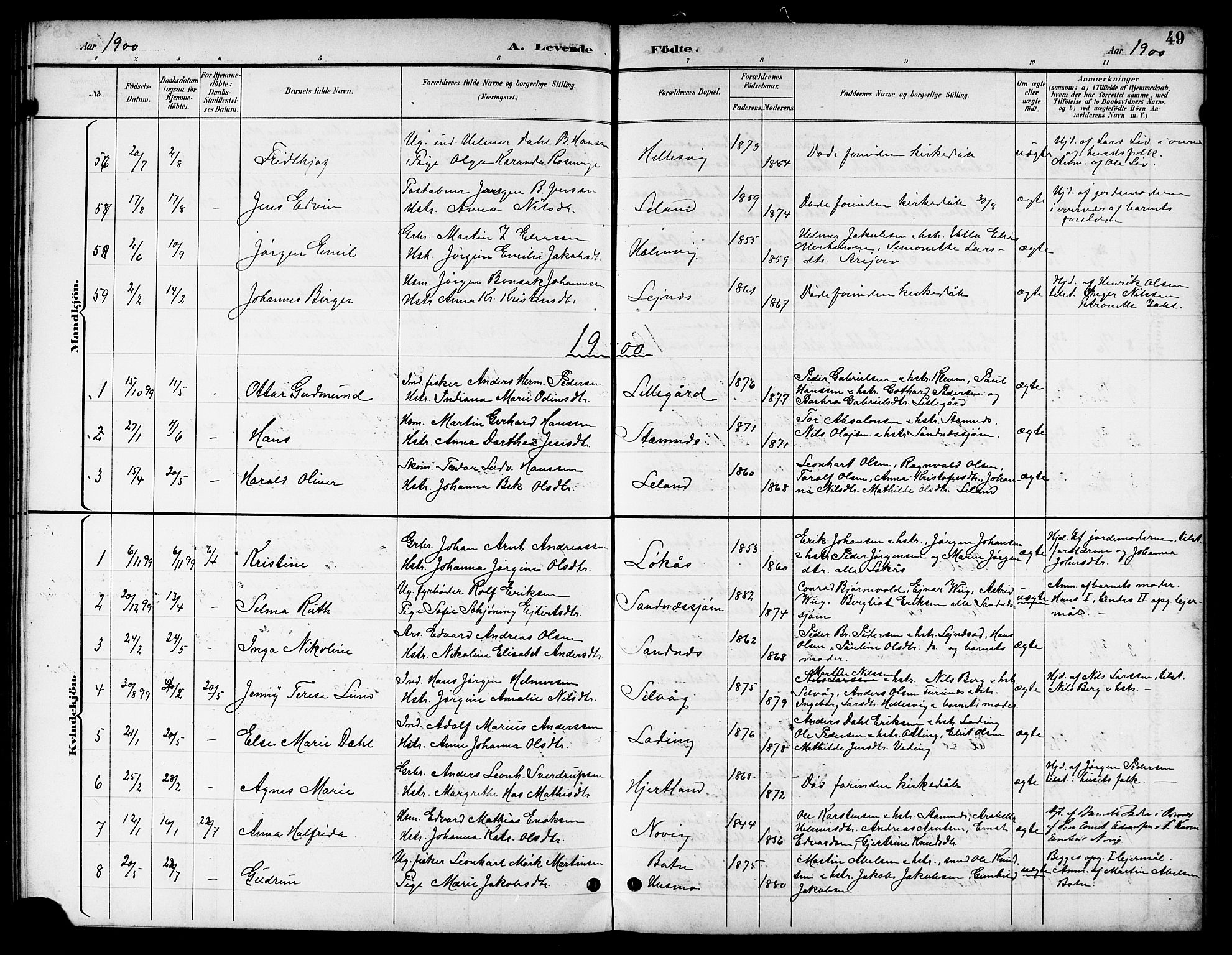 Ministerialprotokoller, klokkerbøker og fødselsregistre - Nordland, AV/SAT-A-1459/831/L0478: Parish register (copy) no. 831C05, 1892-1909, p. 49