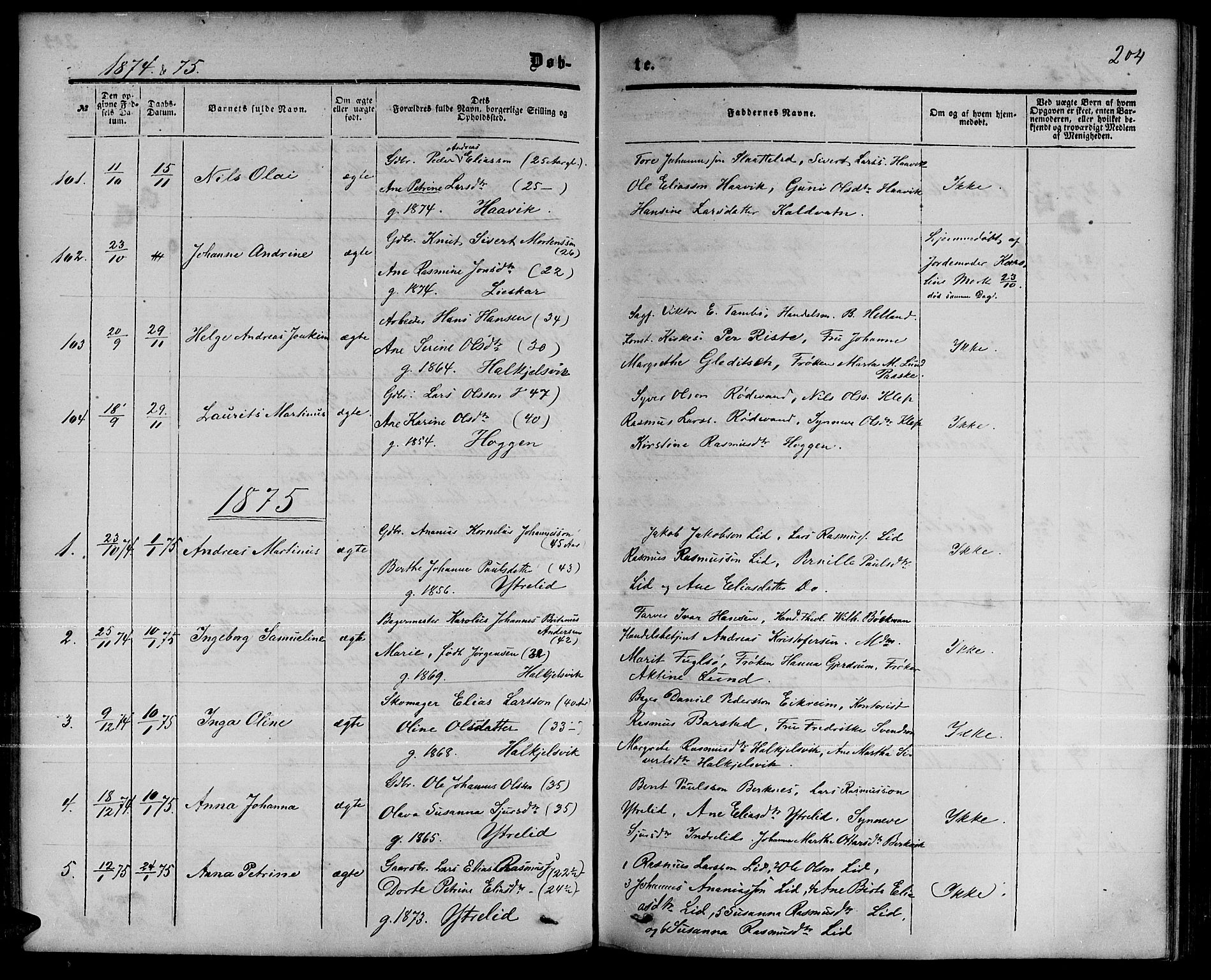 Ministerialprotokoller, klokkerbøker og fødselsregistre - Møre og Romsdal, AV/SAT-A-1454/511/L0157: Parish register (copy) no. 511C03, 1864-1884, p. 204