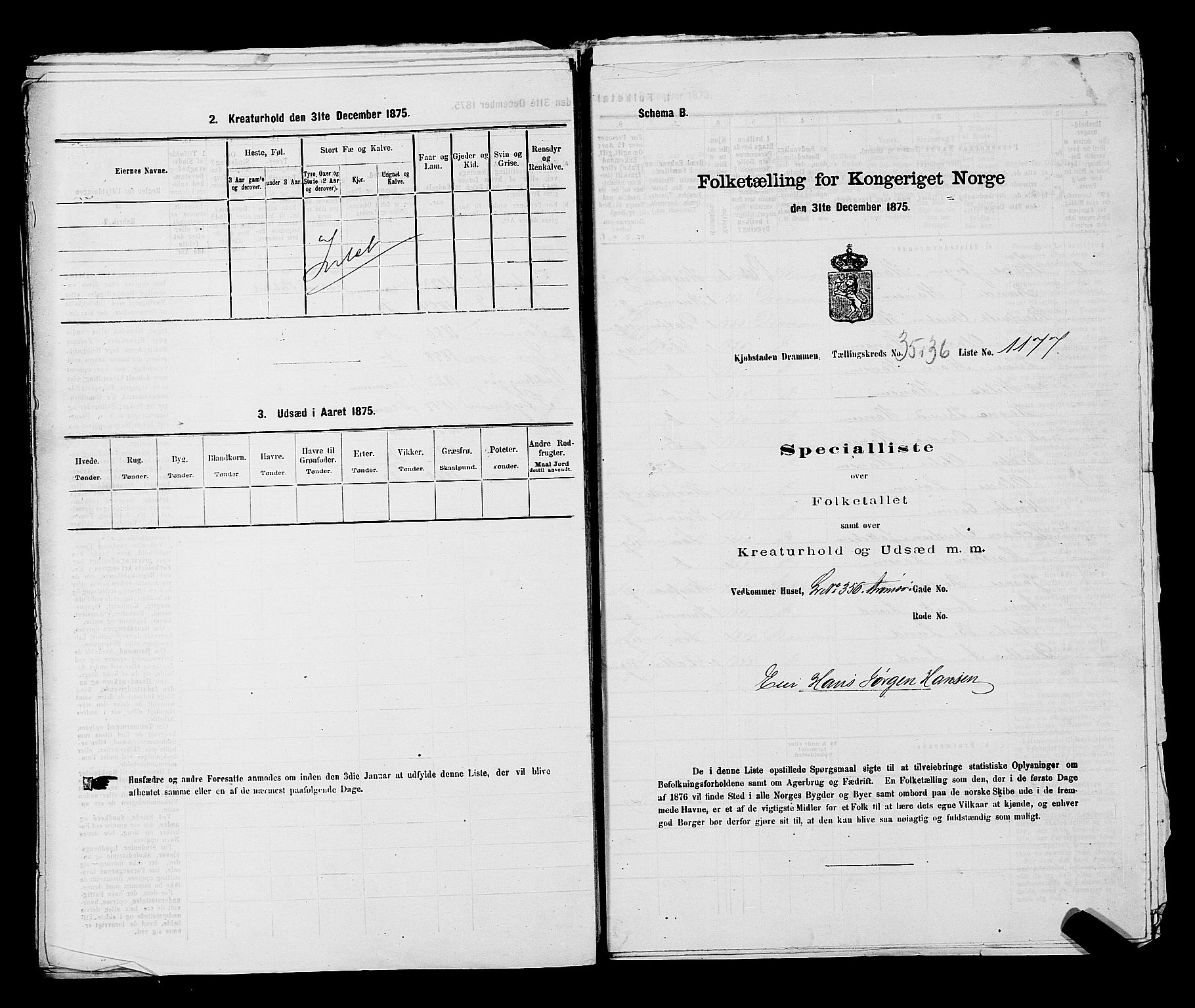 SAKO, 1875 census for 0602 Drammen, 1875, p. 3110