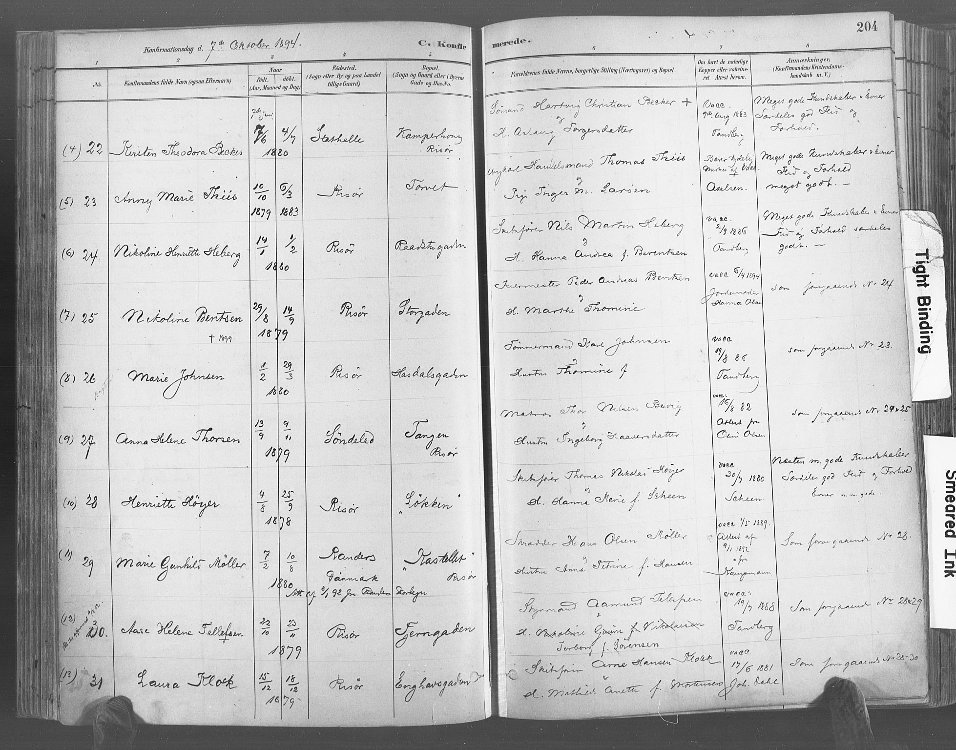 Risør sokneprestkontor, AV/SAK-1111-0035/F/Fa/L0005: Parish register (official) no. A 5, 1883-1895, p. 204