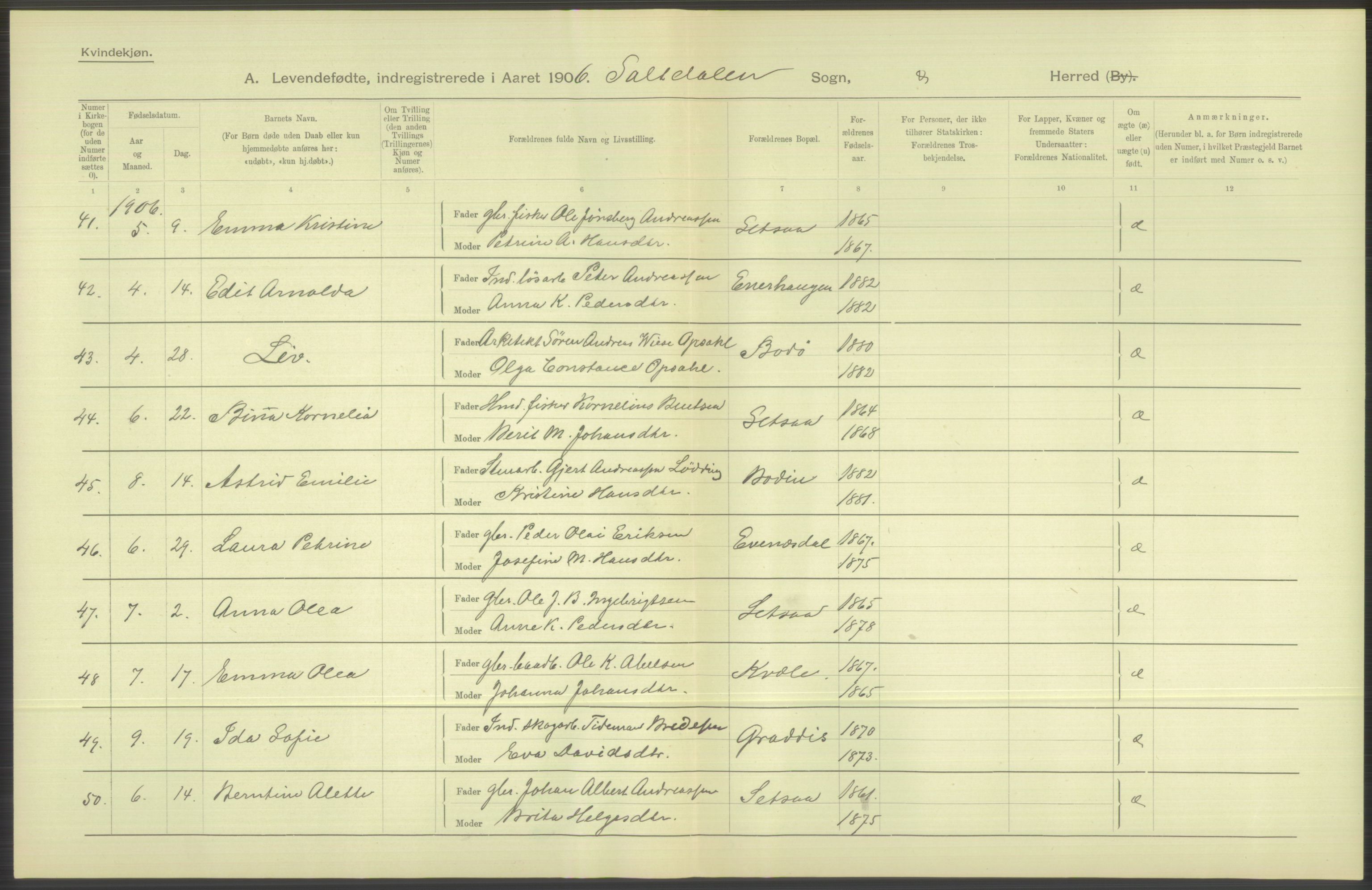 Statistisk sentralbyrå, Sosiodemografiske emner, Befolkning, AV/RA-S-2228/D/Df/Dfa/Dfad/L0044: Nordlands amt: Levendefødte menn og kvinner. Bygder., 1906, p. 192