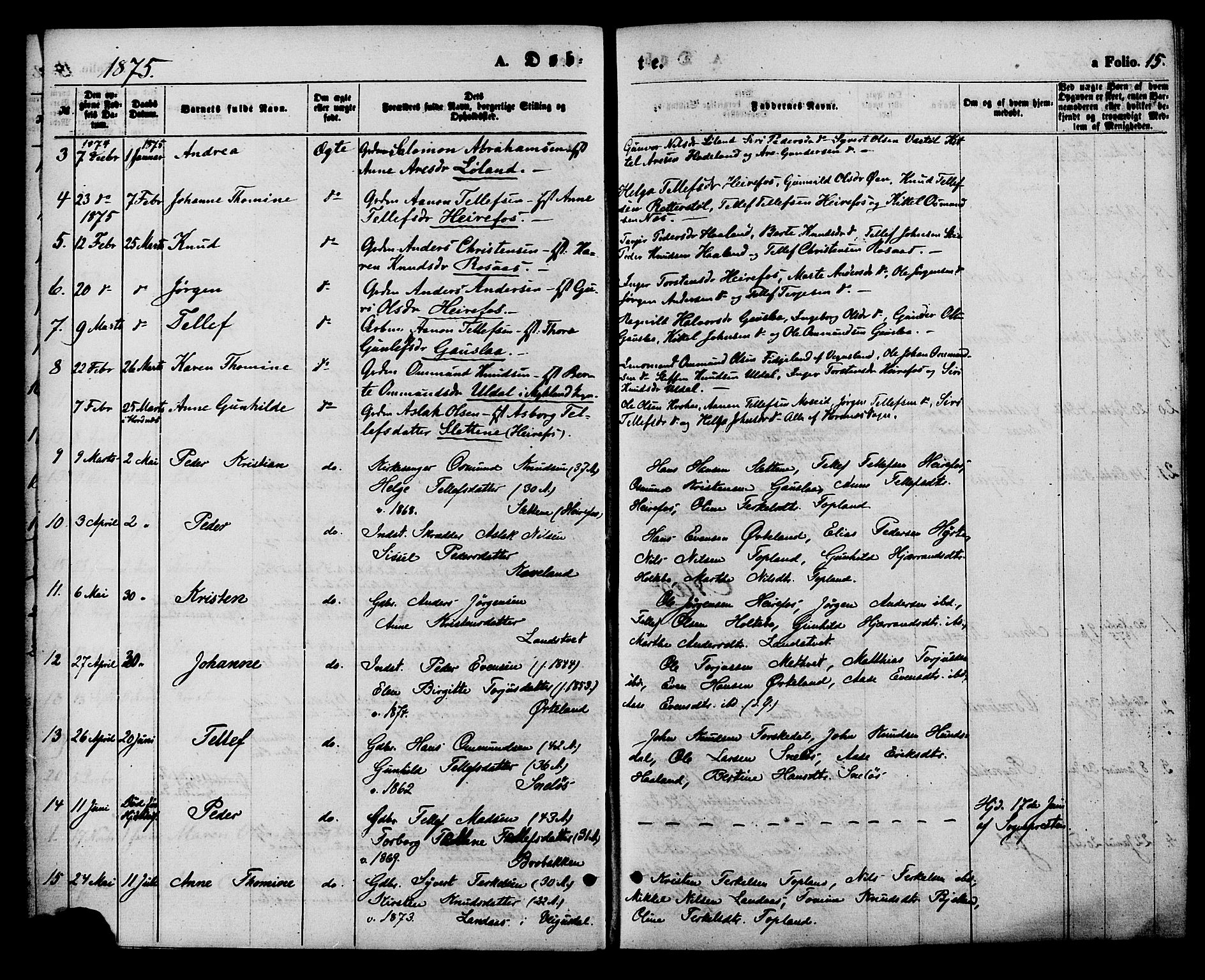 Herefoss sokneprestkontor, AV/SAK-1111-0019/F/Fa/Faa/L0002: Parish register (official) no. A 2, 1861-1886, p. 15