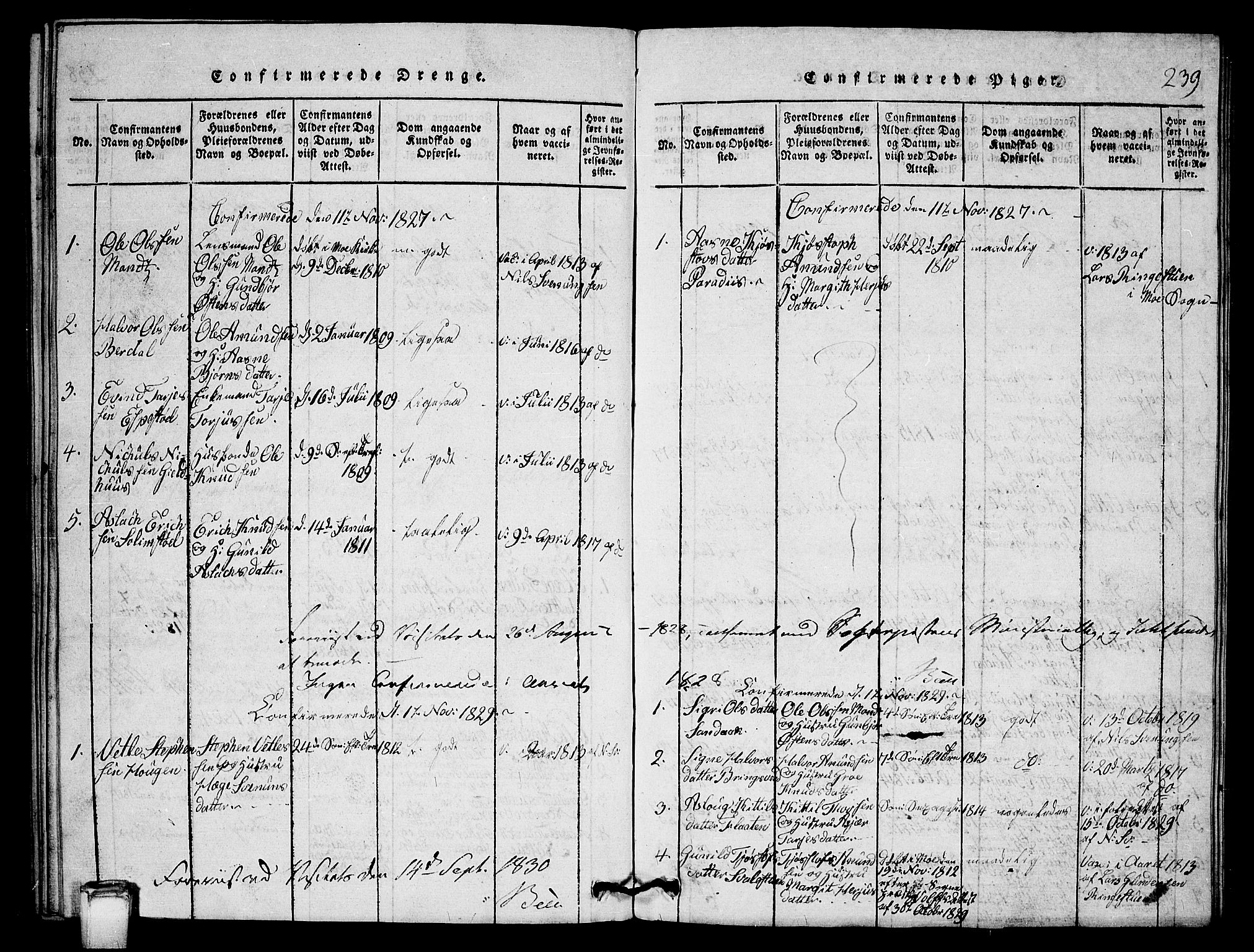 Vinje kirkebøker, SAKO/A-312/G/Gb/L0001: Parish register (copy) no. II 1, 1814-1843, p. 239