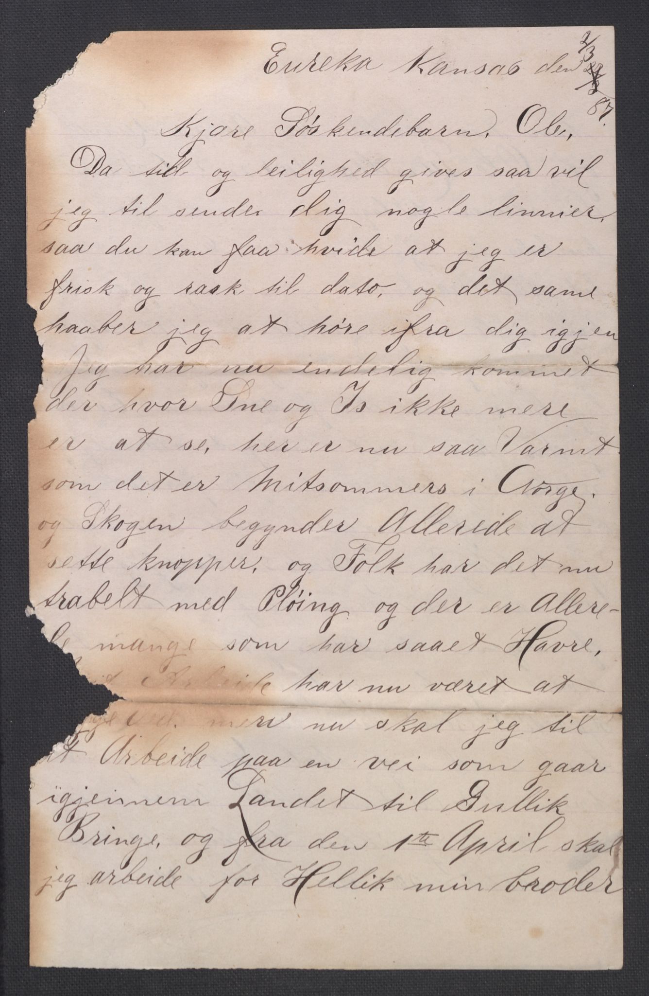 Samlinger til kildeutgivelse, Amerikabrevene, RA/EA-4057/F/L0021: Innlån fra Buskerud: Michalsen - Ål bygdearkiv, 1838-1914, p. 201