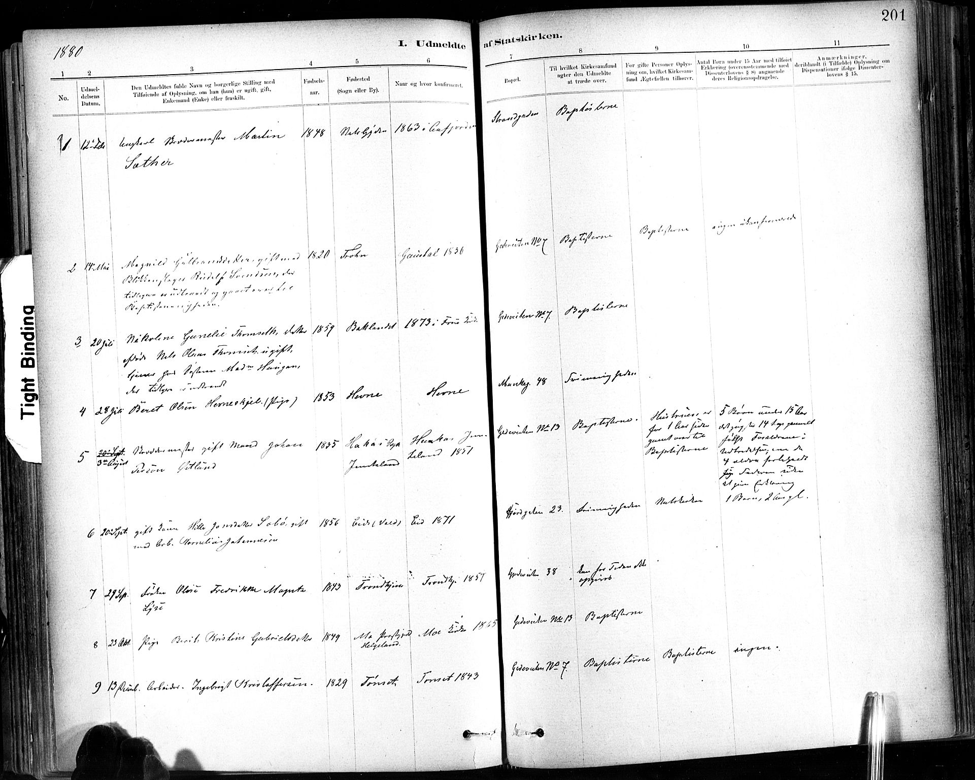 Ministerialprotokoller, klokkerbøker og fødselsregistre - Sør-Trøndelag, SAT/A-1456/602/L0120: Parish register (official) no. 602A18, 1880-1913, p. 201