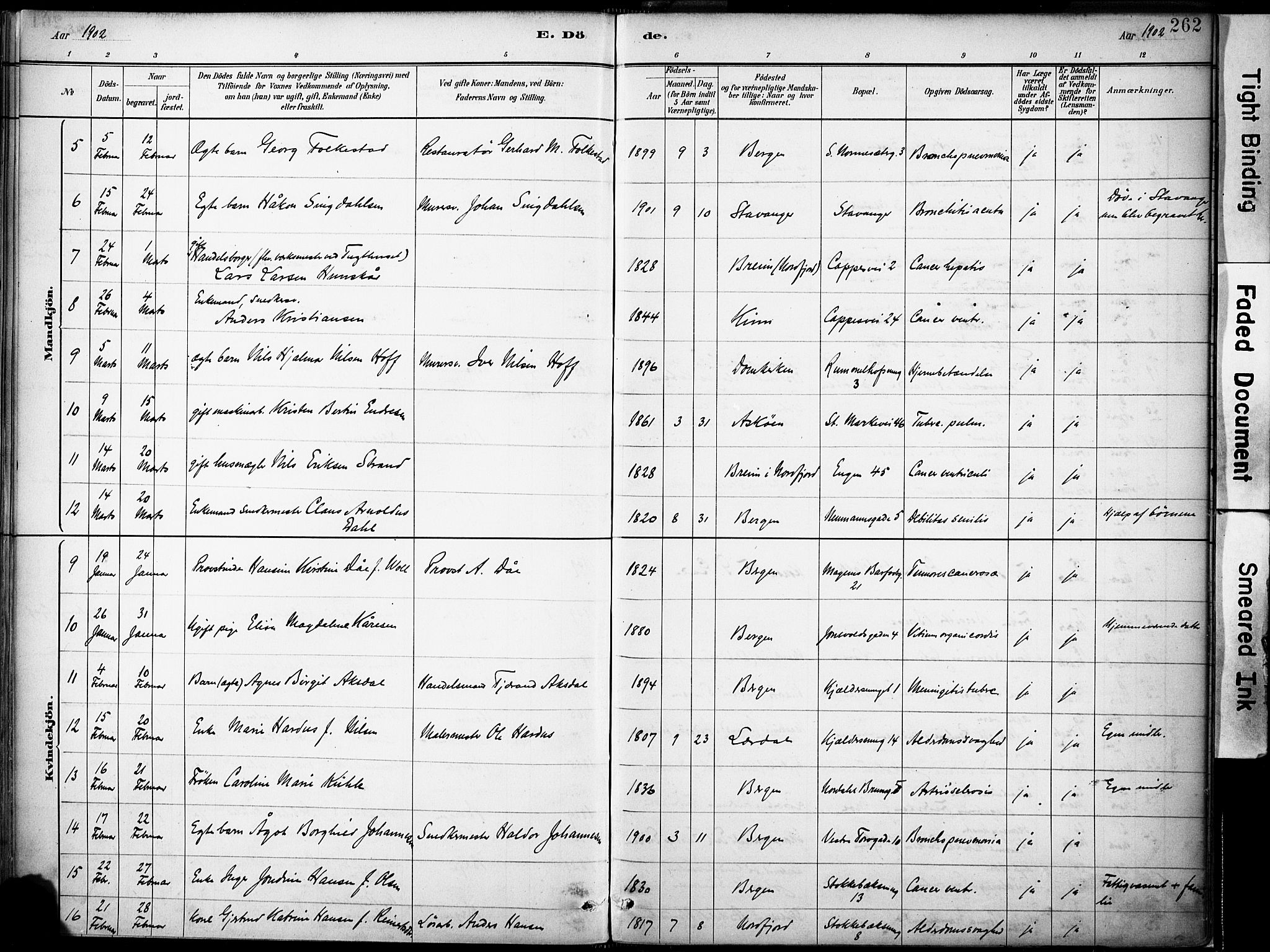 Domkirken sokneprestembete, AV/SAB-A-74801/H/Haa/L0043: Parish register (official) no. E 5, 1882-1904, p. 262