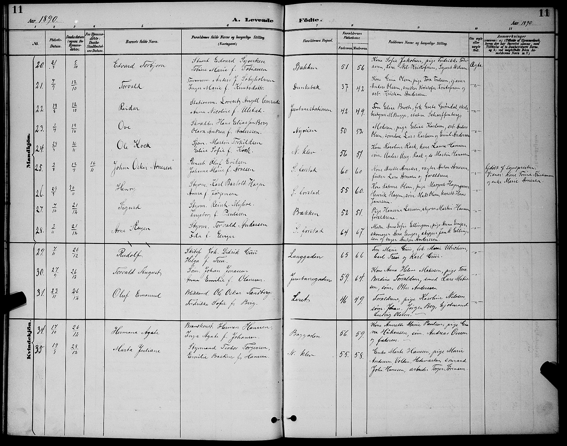 Holmestrand kirkebøker, AV/SAKO-A-346/G/Ga/L0005: Parish register (copy) no. 5, 1889-1901, p. 11