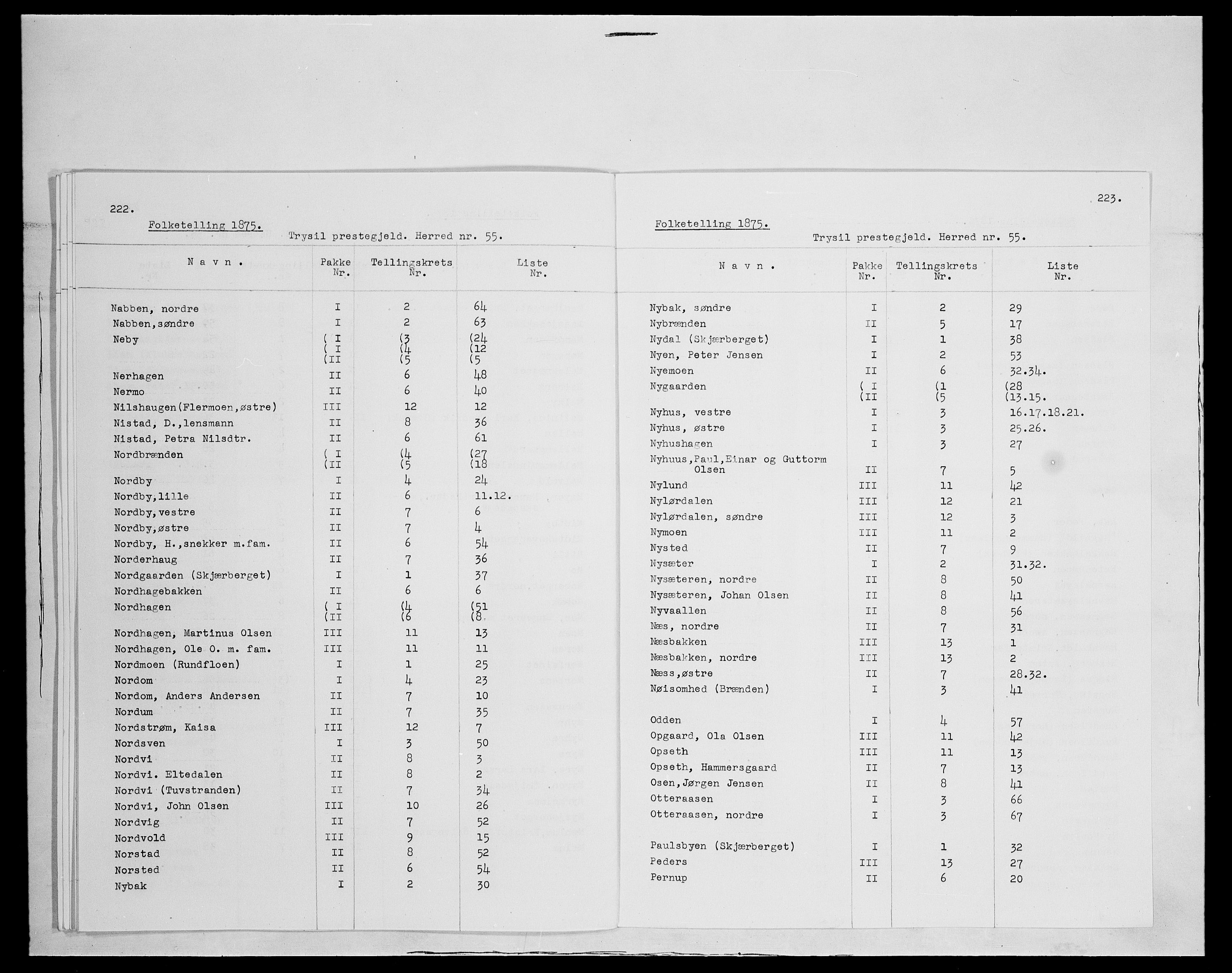 SAH, 1875 census for 0428P Trysil, 1875, p. 6