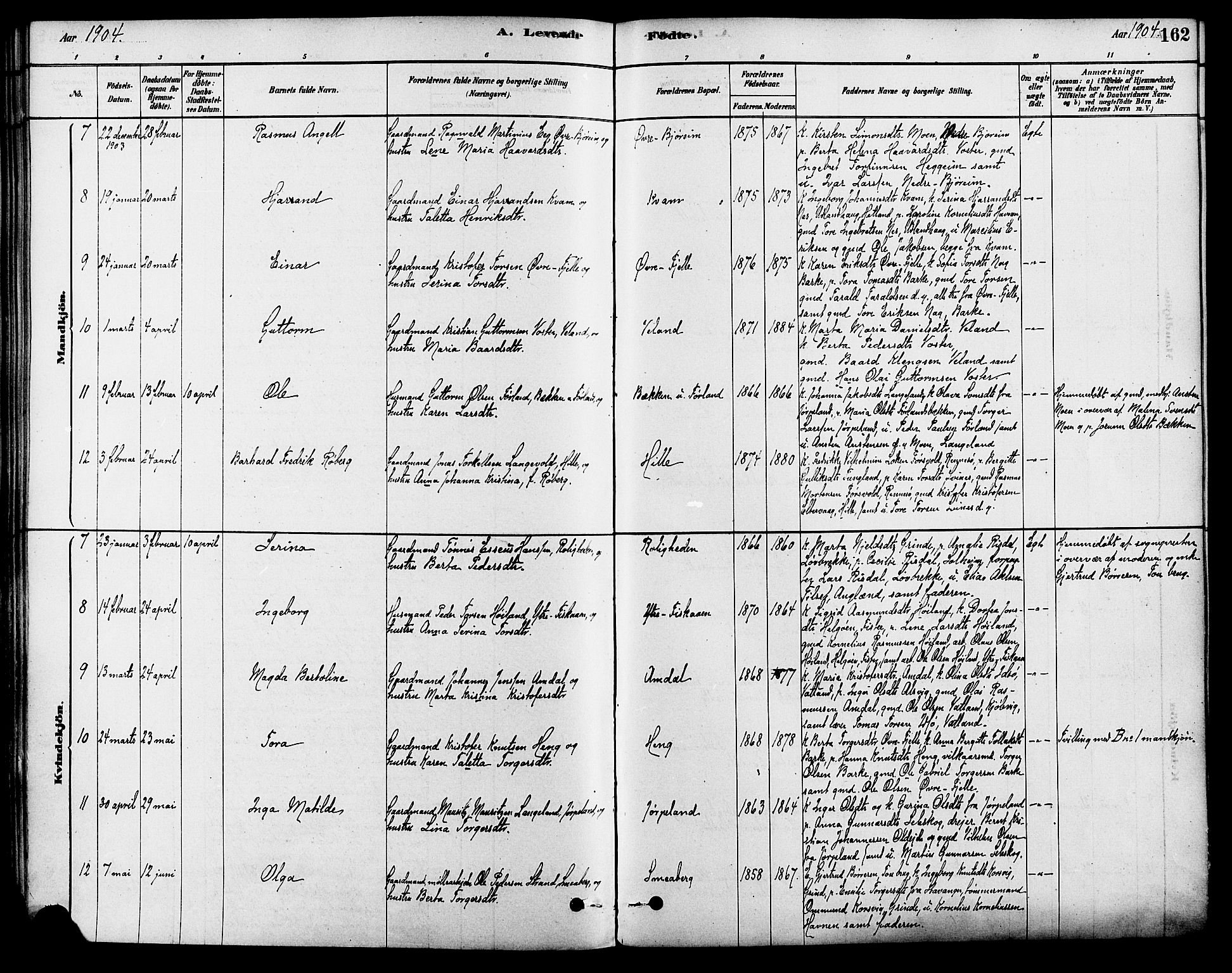 Strand sokneprestkontor, SAST/A-101828/H/Ha/Haa/L0009: Parish register (official) no. A 9, 1877-1908, p. 162