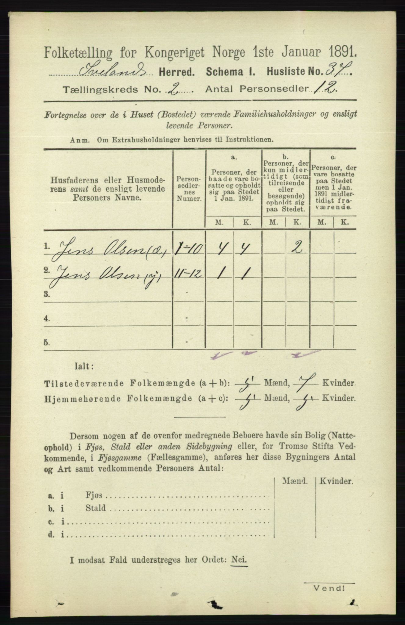 RA, 1891 census for 0935 Iveland, 1891, p. 402