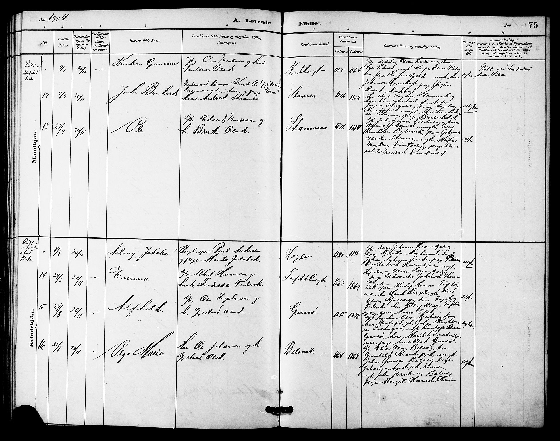 Ministerialprotokoller, klokkerbøker og fødselsregistre - Sør-Trøndelag, AV/SAT-A-1456/633/L0519: Parish register (copy) no. 633C01, 1884-1905, p. 75