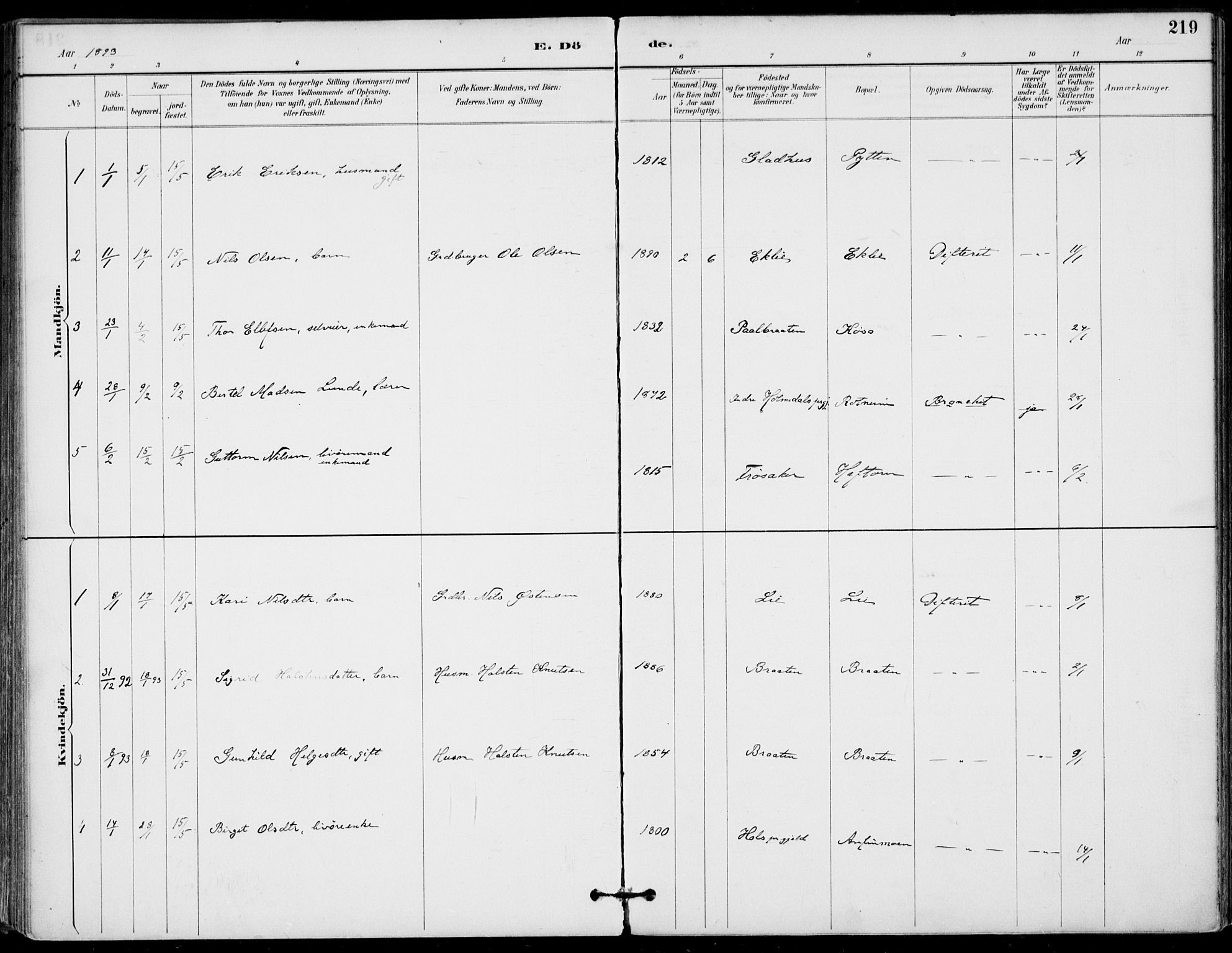 Gol kirkebøker, SAKO/A-226/F/Fa/L0005: Parish register (official) no. I 5, 1887-1900, p. 219
