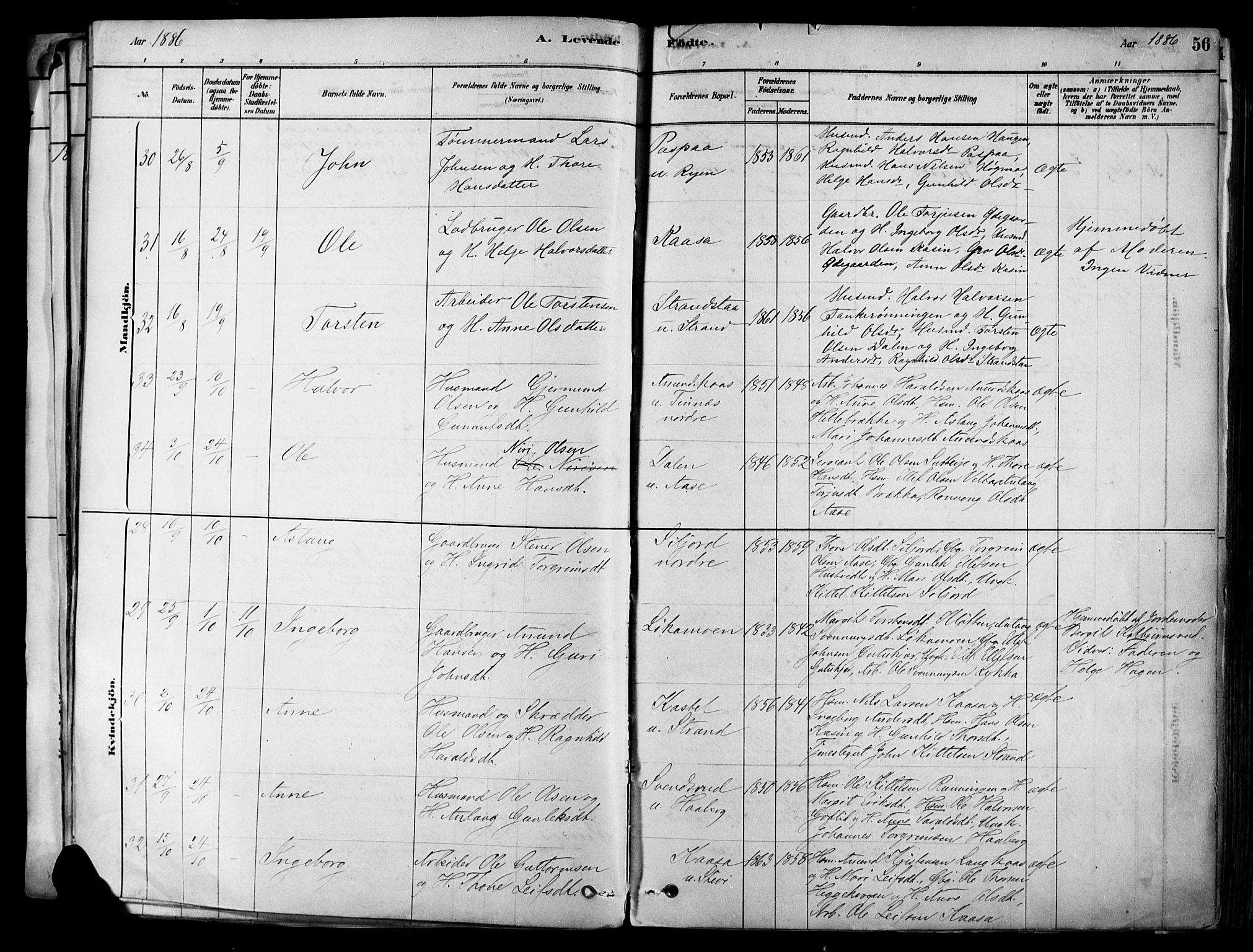 Heddal kirkebøker, SAKO/A-268/F/Fa/L0008: Parish register (official) no. I 8, 1878-1903, p. 56