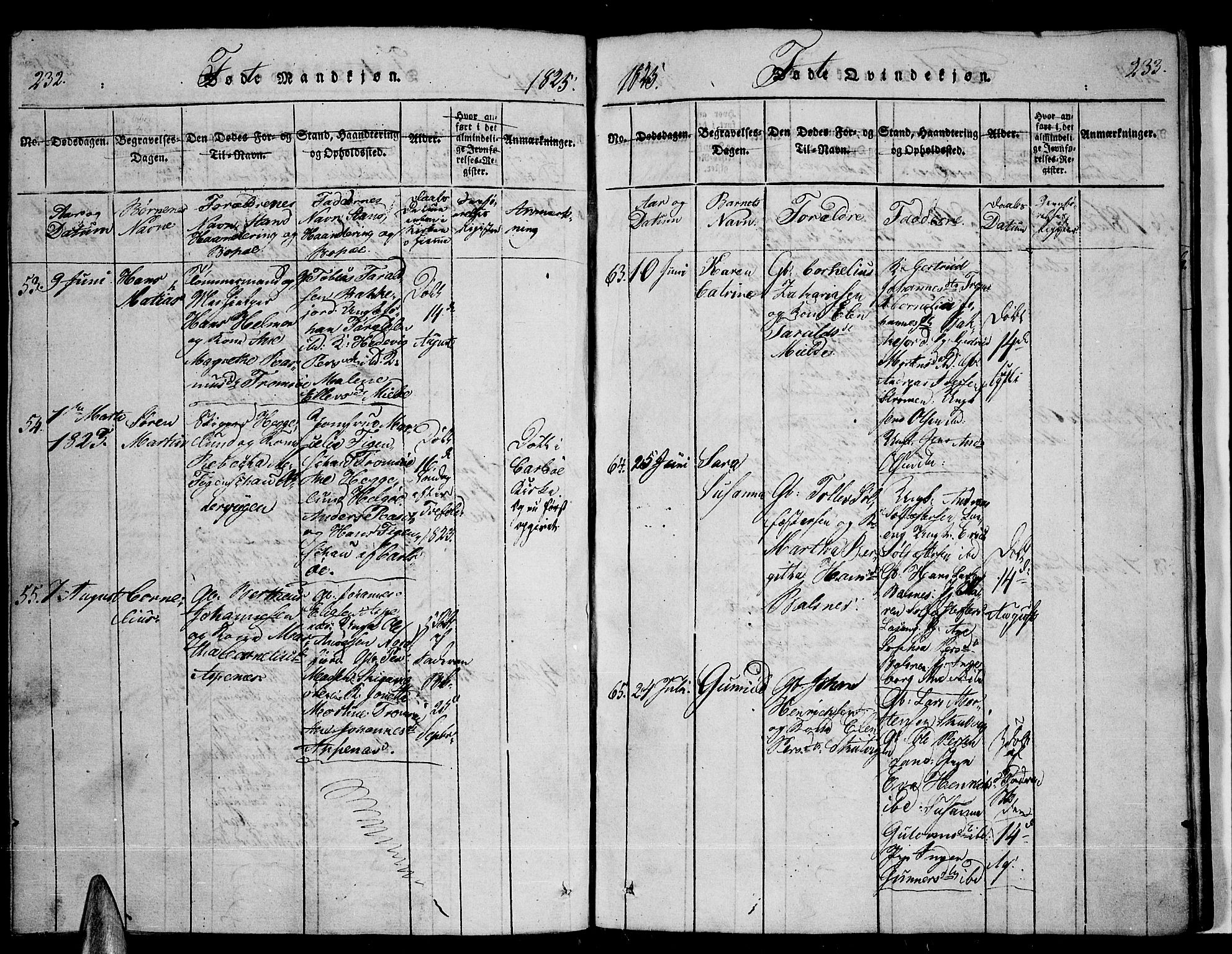 Tromsø sokneprestkontor/stiftsprosti/domprosti, SATØ/S-1343/G/Ga/L0007kirke: Parish register (official) no. 7, 1821-1828, p. 232-233
