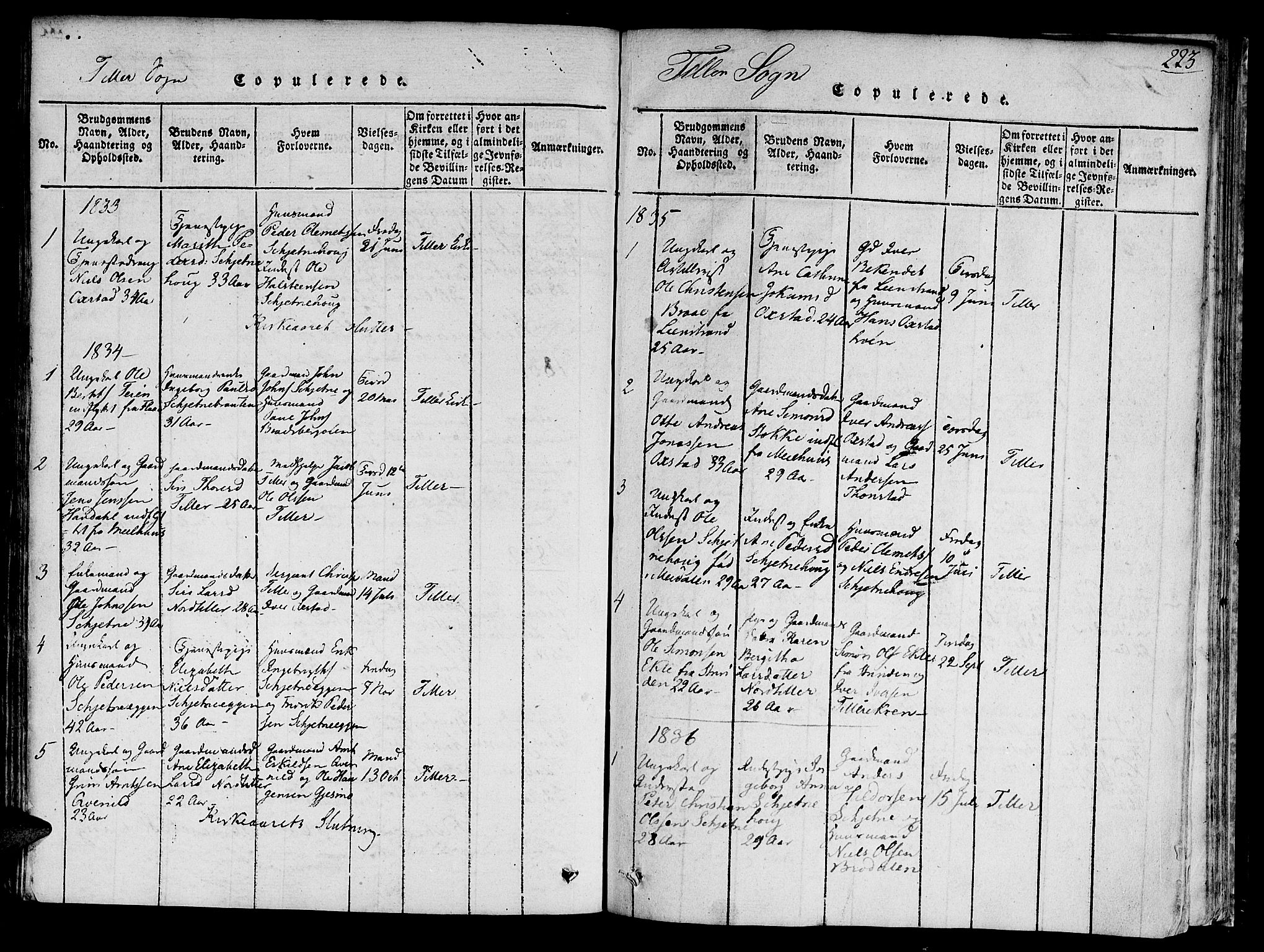Ministerialprotokoller, klokkerbøker og fødselsregistre - Sør-Trøndelag, SAT/A-1456/618/L0440: Parish register (official) no. 618A04 /2, 1816-1843, p. 223