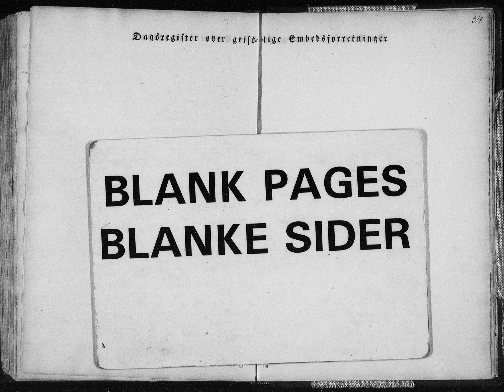 Ministerialprotokoller, klokkerbøker og fødselsregistre - Nordland, AV/SAT-A-1459/827/L0390: Parish register (official) no. 827A02, 1826-1841, p. 314