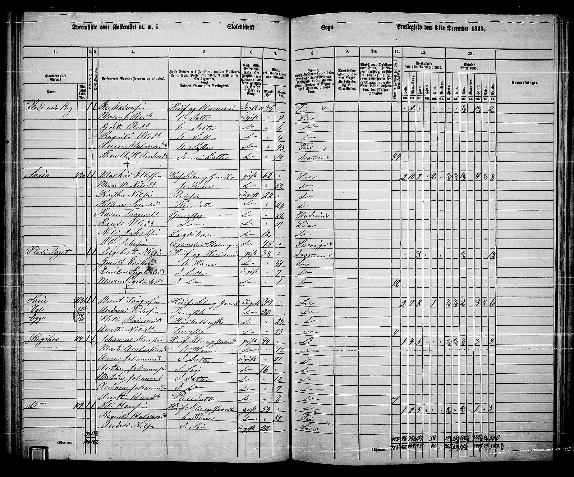 RA, 1865 census for Lier, 1865, p. 66