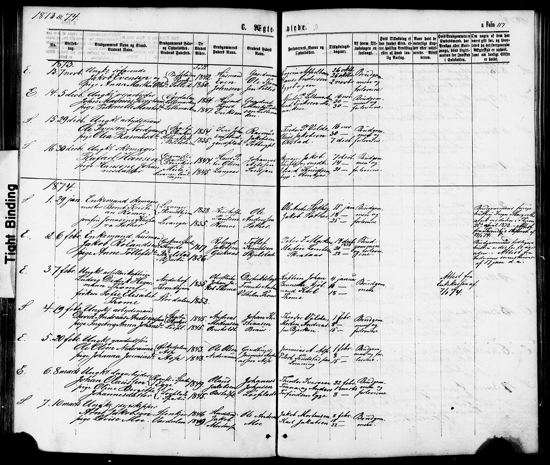 Ministerialprotokoller, klokkerbøker og fødselsregistre - Nord-Trøndelag, SAT/A-1458/739/L0370: Parish register (official) no. 739A02, 1868-1881, p. 117