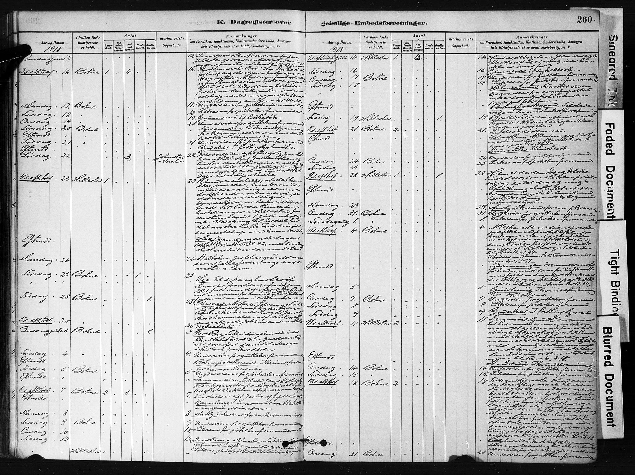 Botne kirkebøker, AV/SAKO-A-340/F/Fb/L0001: Parish register (official) no. II 1, 1878-1902, p. 260