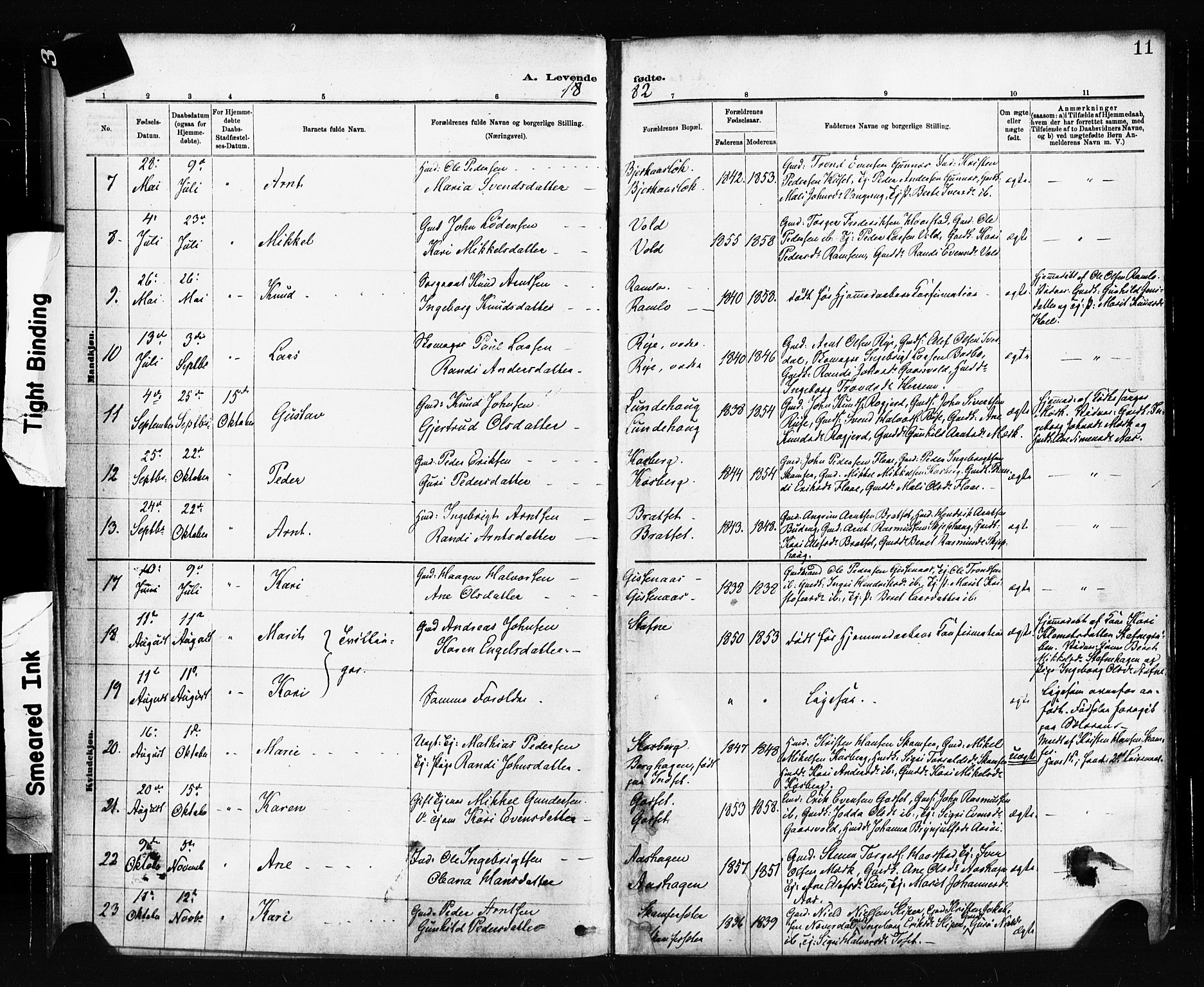 Ministerialprotokoller, klokkerbøker og fødselsregistre - Sør-Trøndelag, SAT/A-1456/674/L0871: Parish register (official) no. 674A03, 1880-1896, p. 11