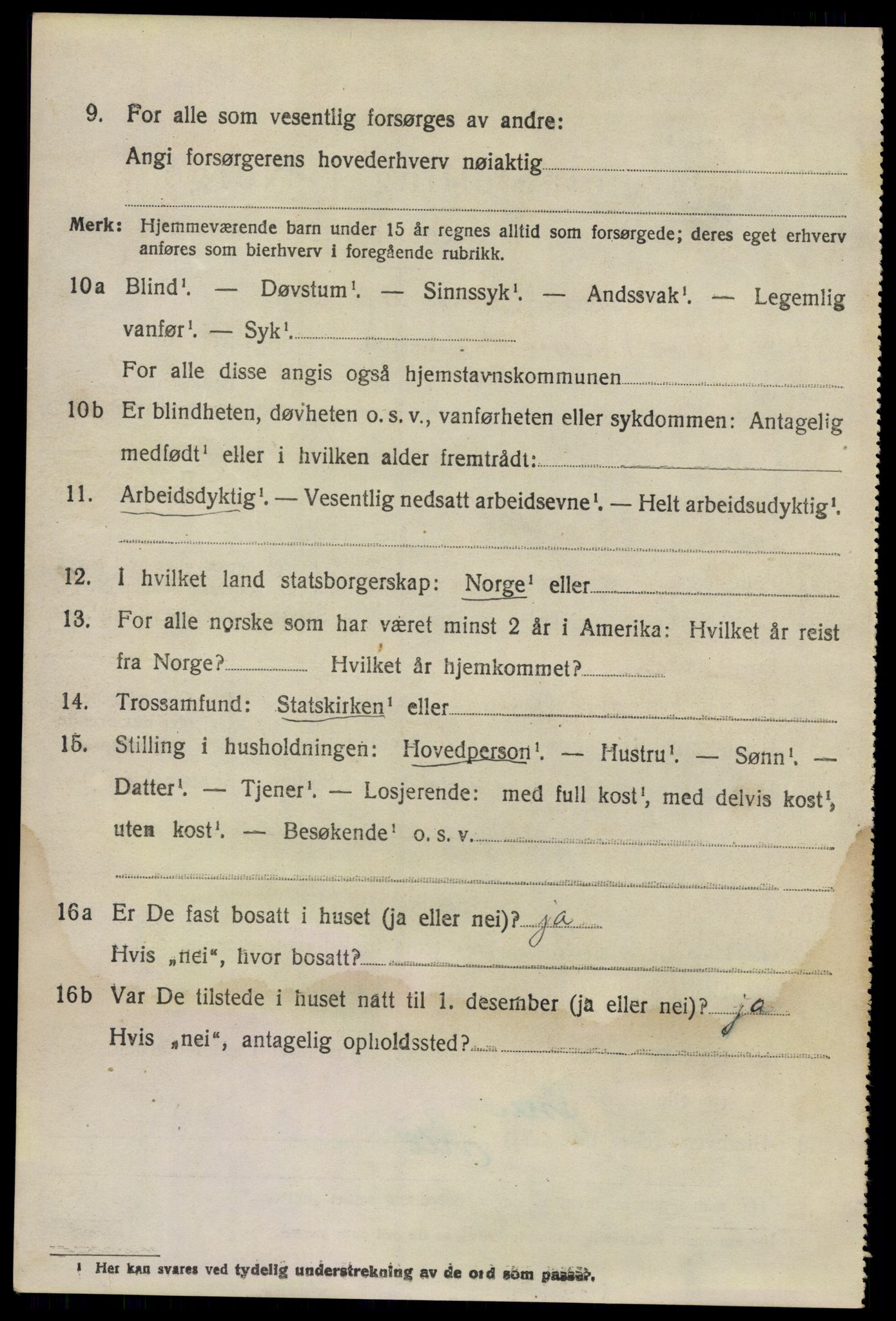 SAO, 1920 census for Nes, 1920, p. 13415