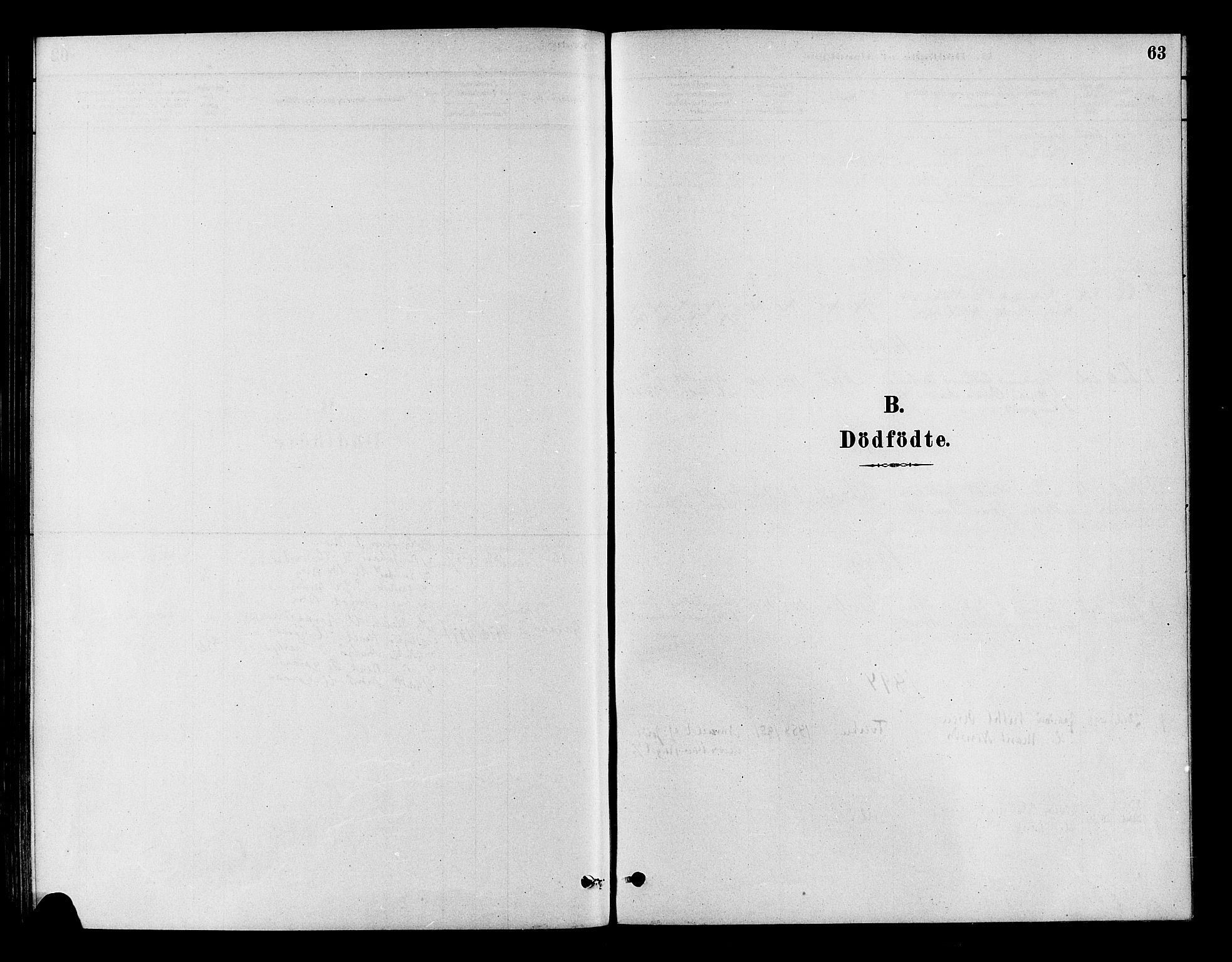 Flesberg kirkebøker, SAKO/A-18/F/Fb/L0001: Parish register (official) no. II 1, 1879-1907, p. 63