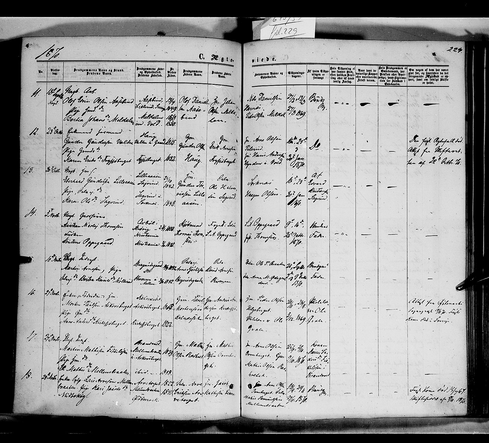 Grue prestekontor, AV/SAH-PREST-036/H/Ha/Haa/L0010: Parish register (official) no. 10, 1864-1873, p. 224