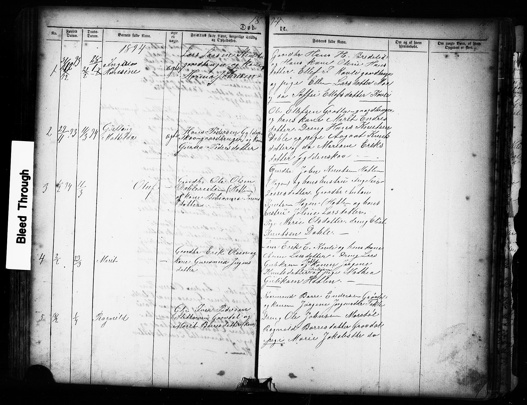 Ministerialprotokoller, klokkerbøker og fødselsregistre - Møre og Romsdal, AV/SAT-A-1454/545/L0588: Parish register (copy) no. 545C02, 1867-1902, p. 100